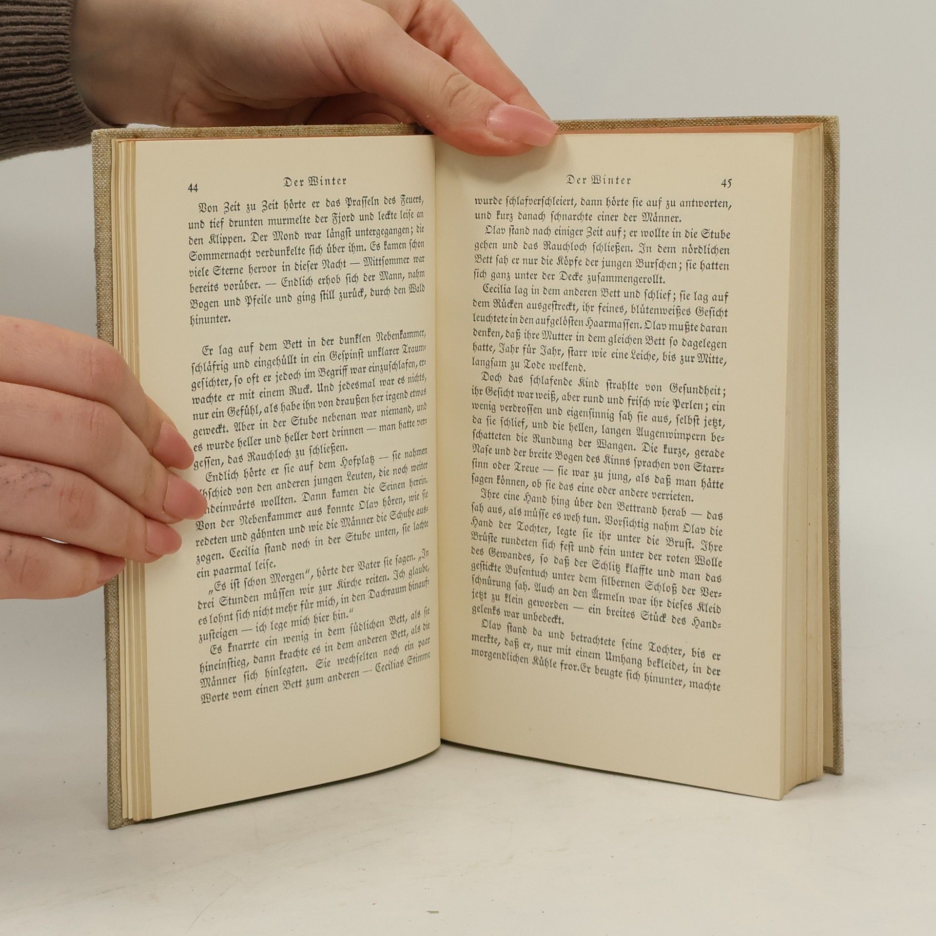 Sigrid Undset Olav Audunssohn und seine Kinder II