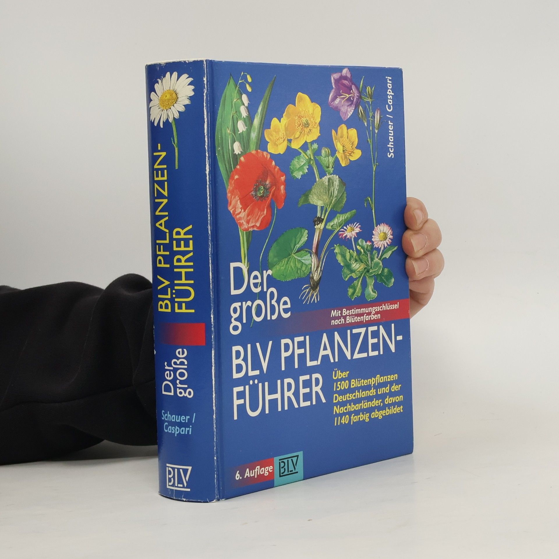 Thomas Schauer Der grosse BLV-Pflanzenführer