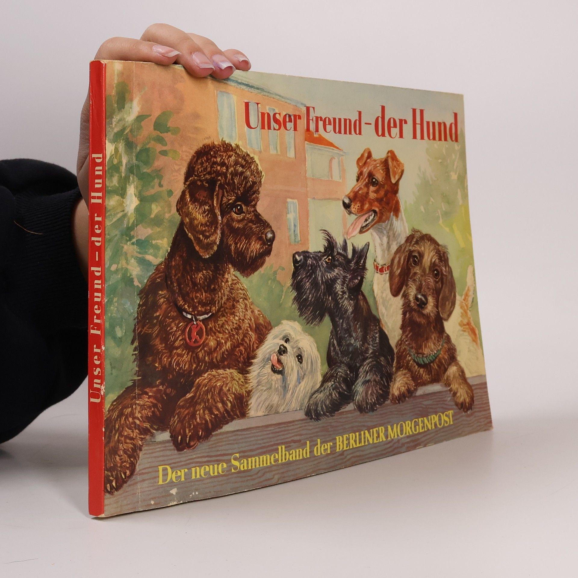 Autorenkollektiv Unser Freund - der Hund