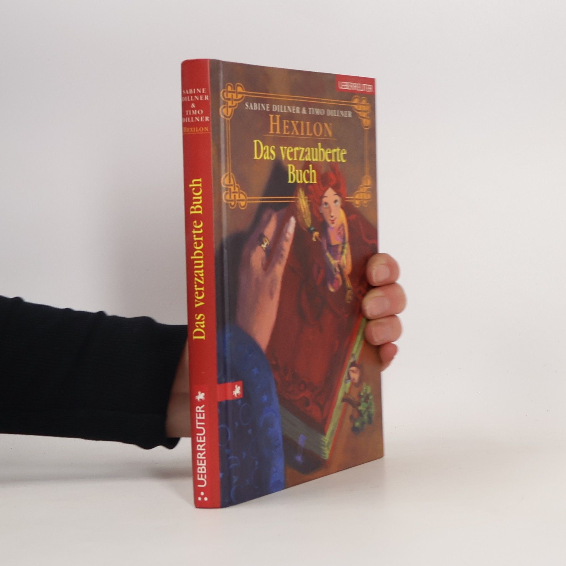 Sabine Dillner Das verzauberte Buch