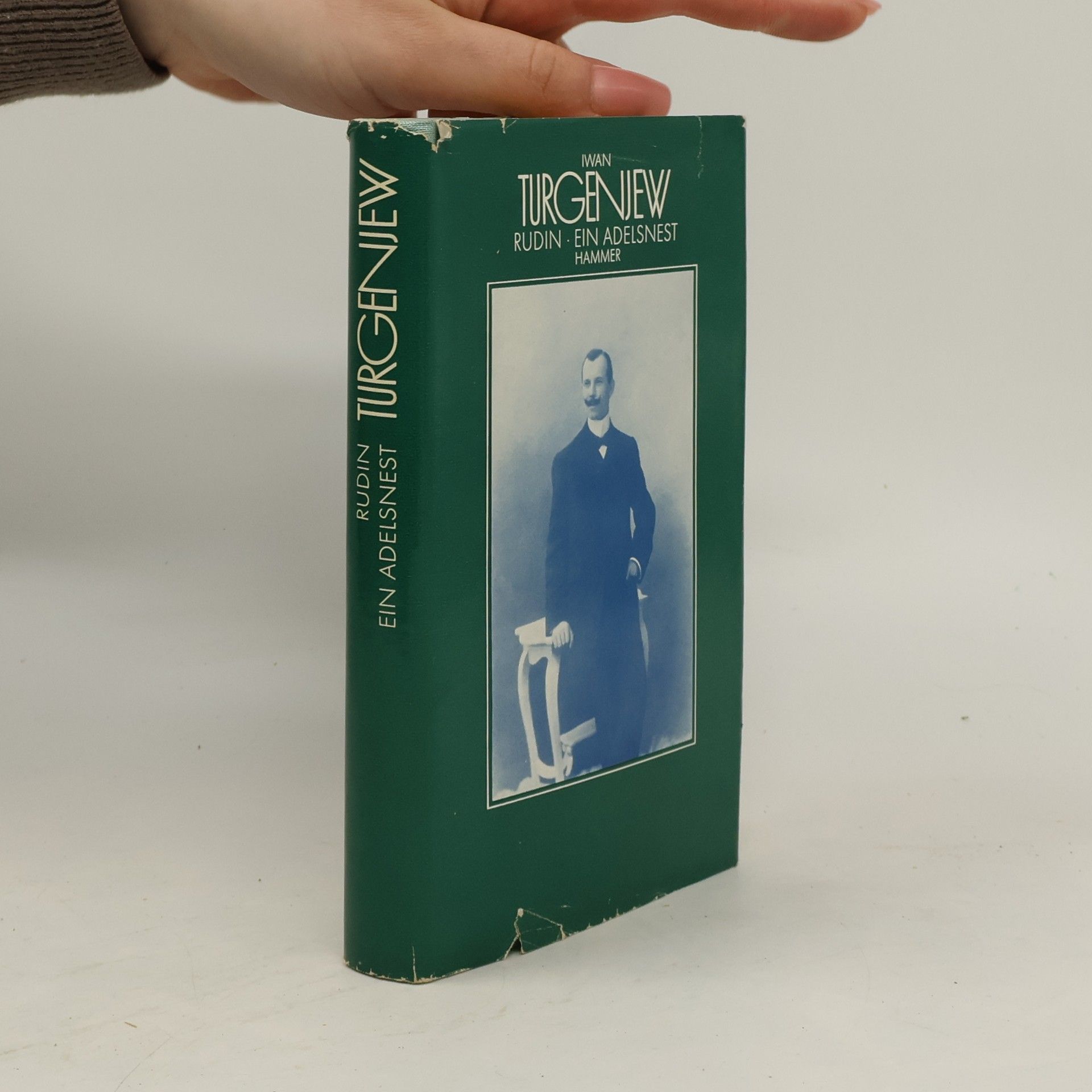 Ivan Turgenev Rudin. Ein Adelsnest