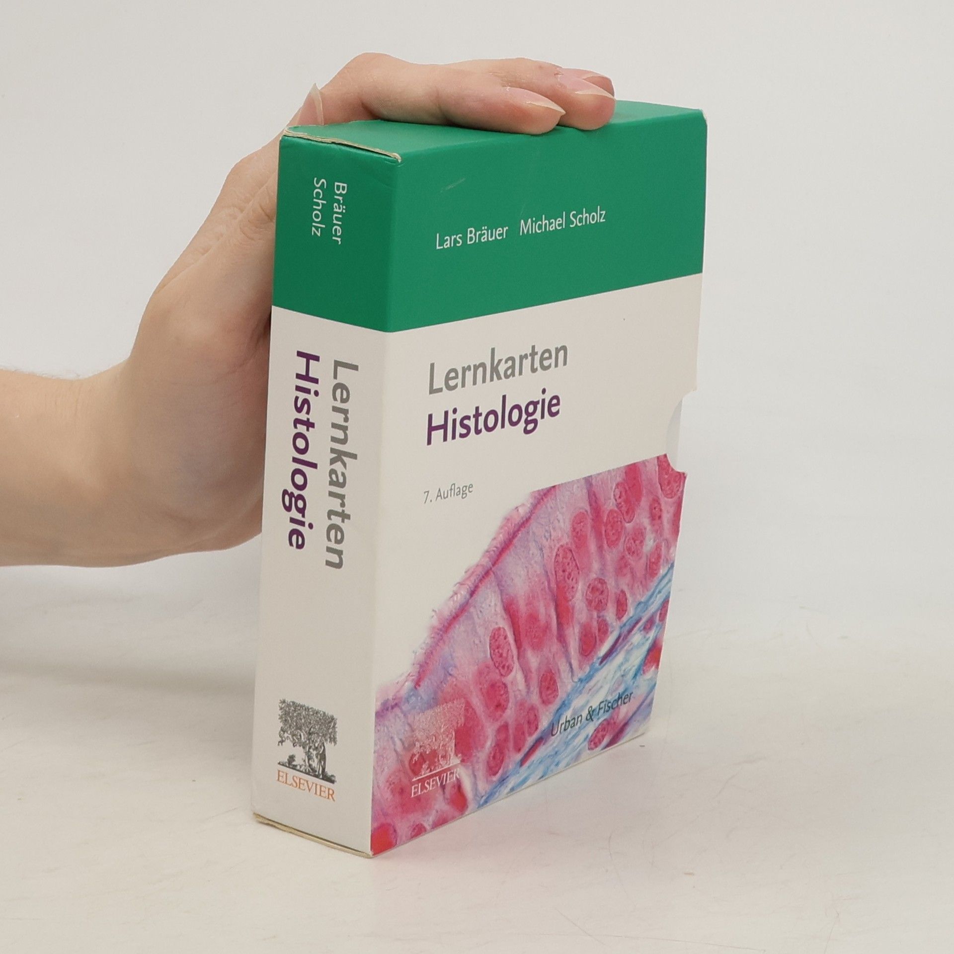 Lernkarten Histologie
