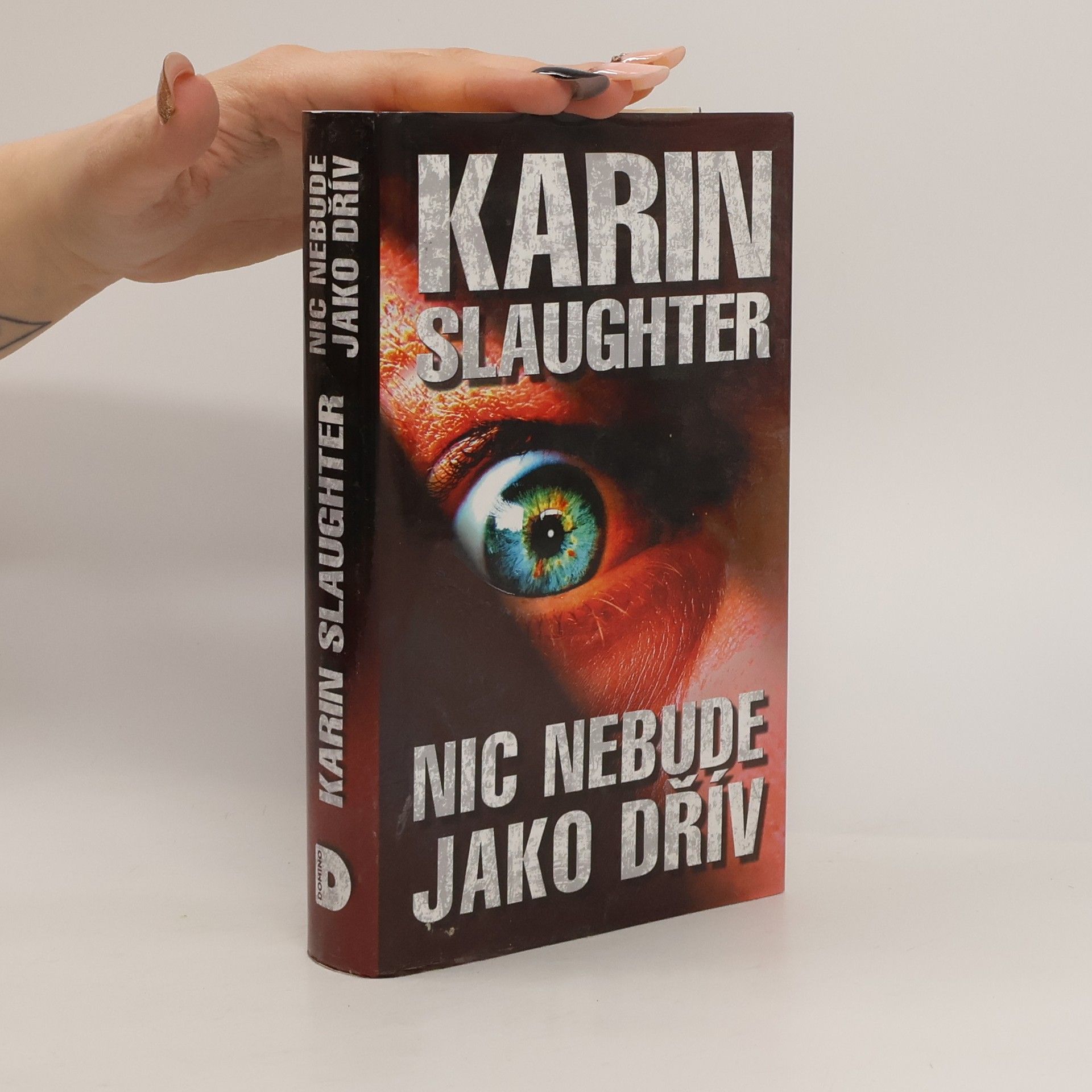 Karin Slaughter Nic nebude jako dřív