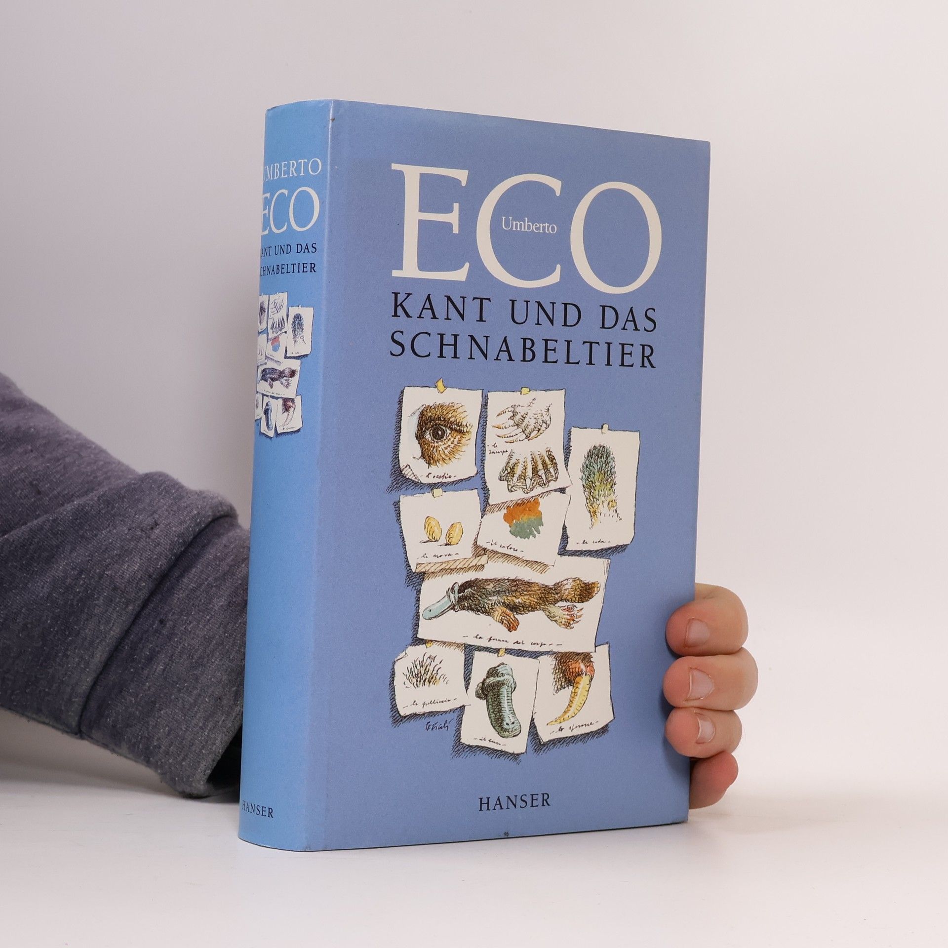 Umberto Eco Kant und das Schnabeltier