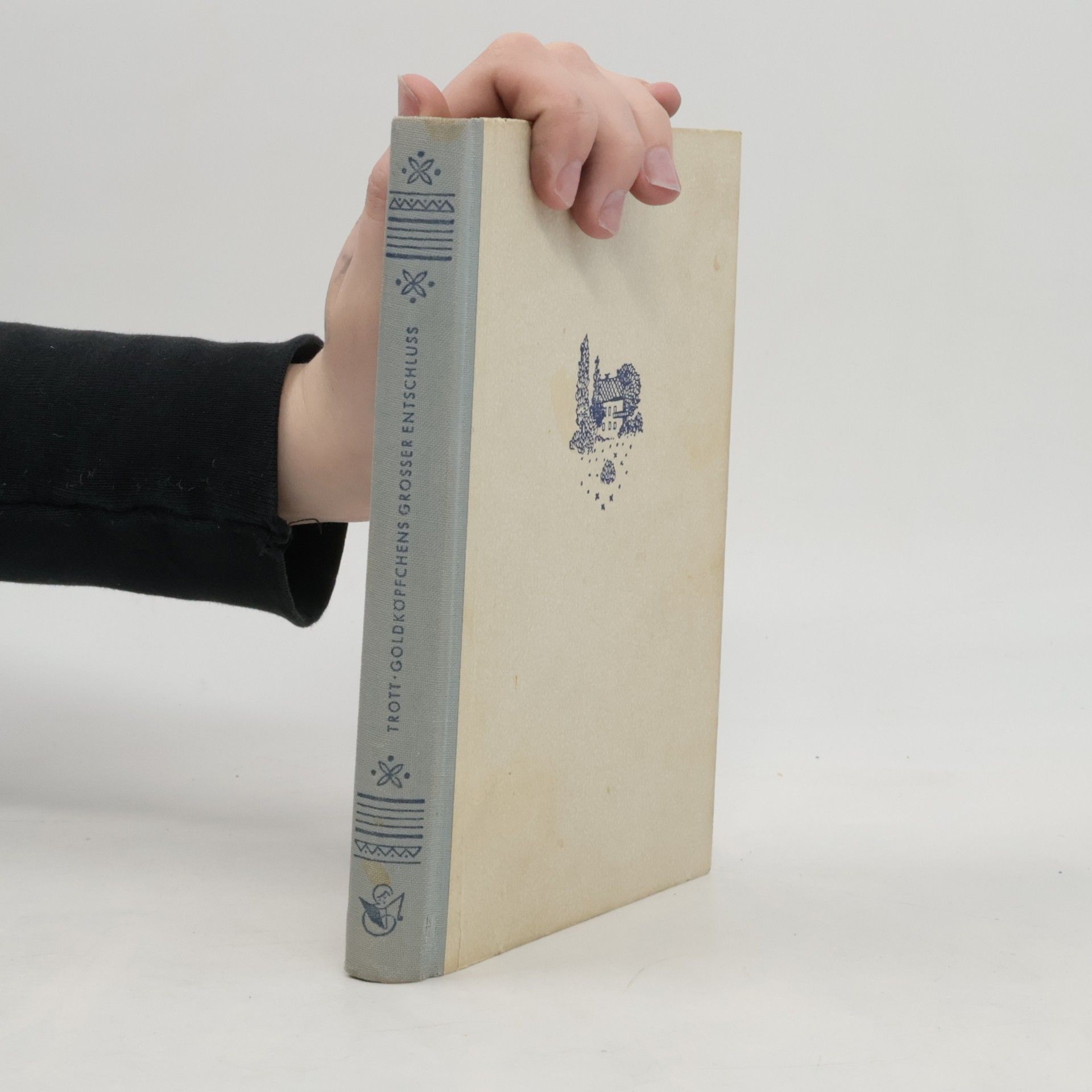 Goldköpfchens grosser Entschluss