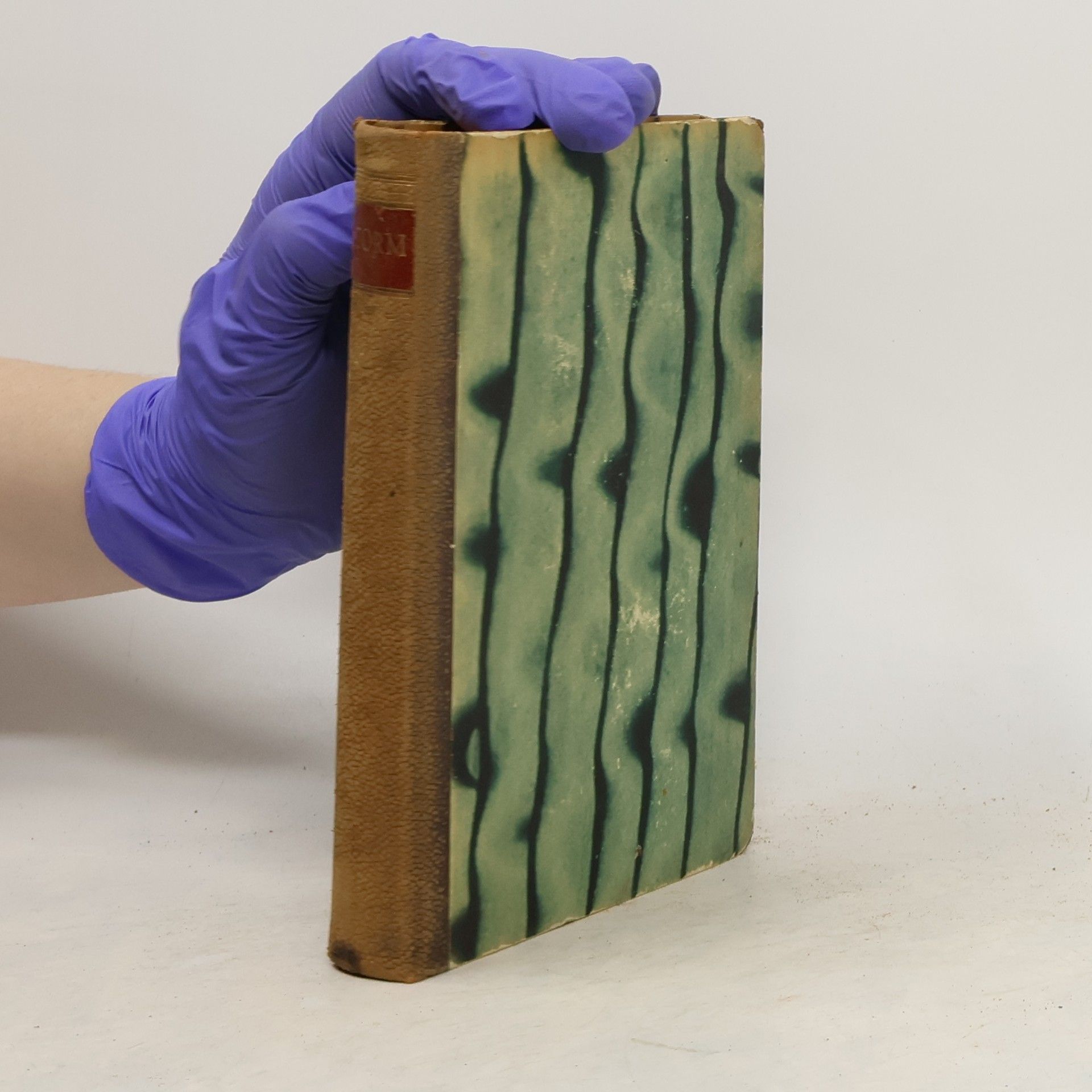 Theodor Storm Sämtliche Werke 3