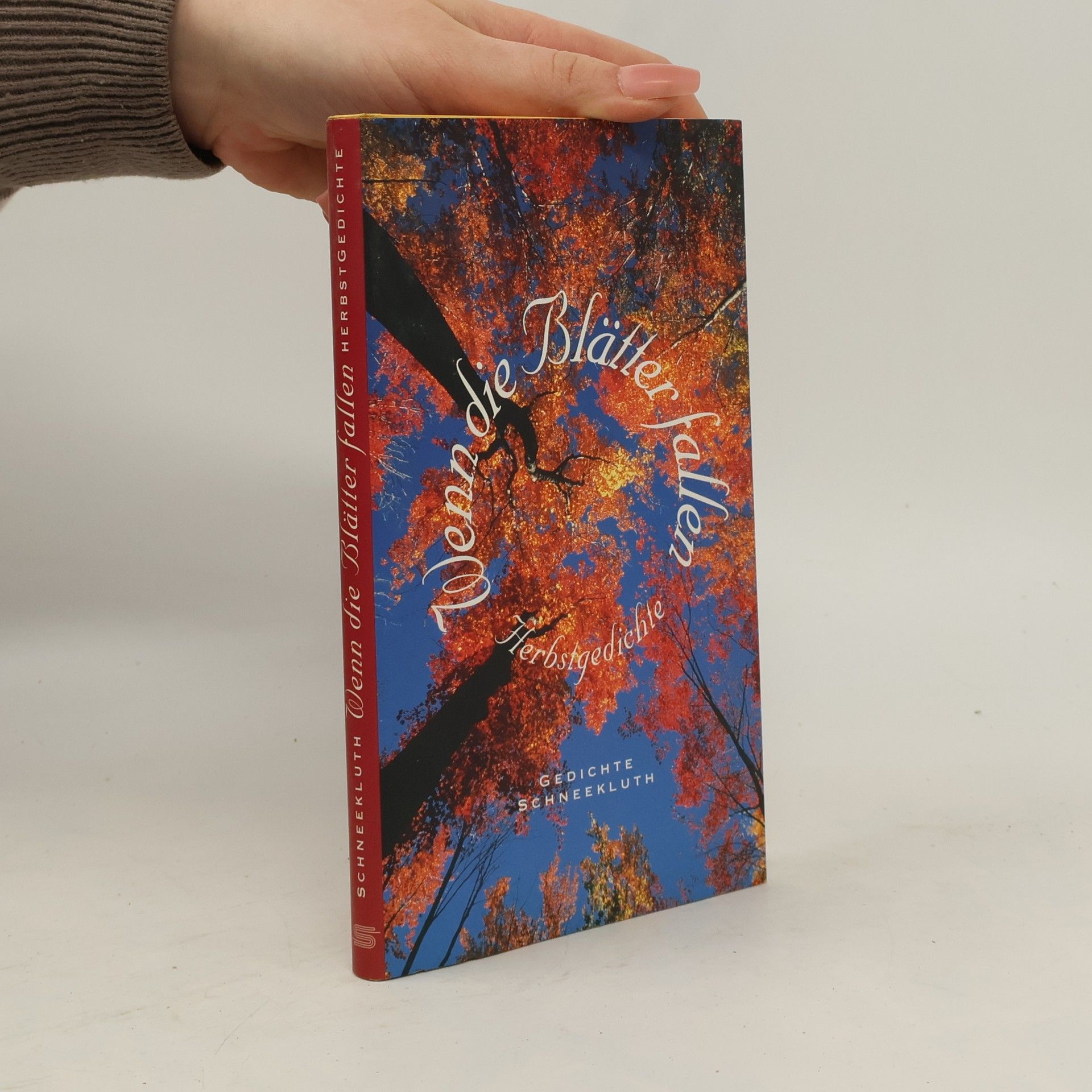 Eva Schuster Wenn die Blätter fallen