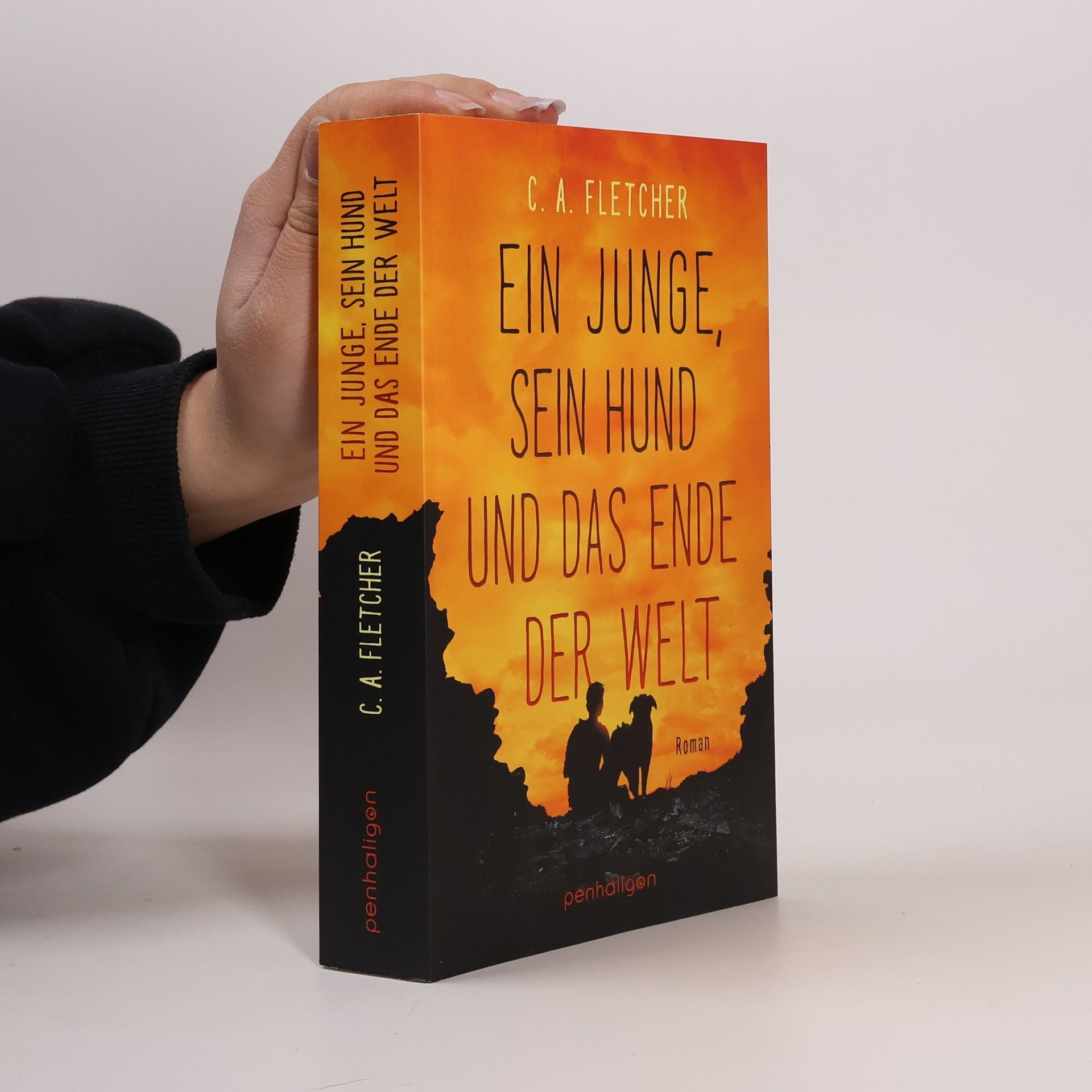 Charlie Fletcher Ein Junge, sein Hund und das Ende der Welt