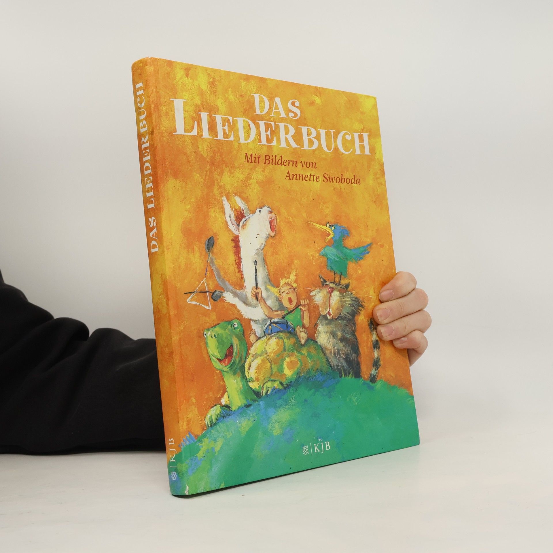 Catrin Frischer Das Liederbuch