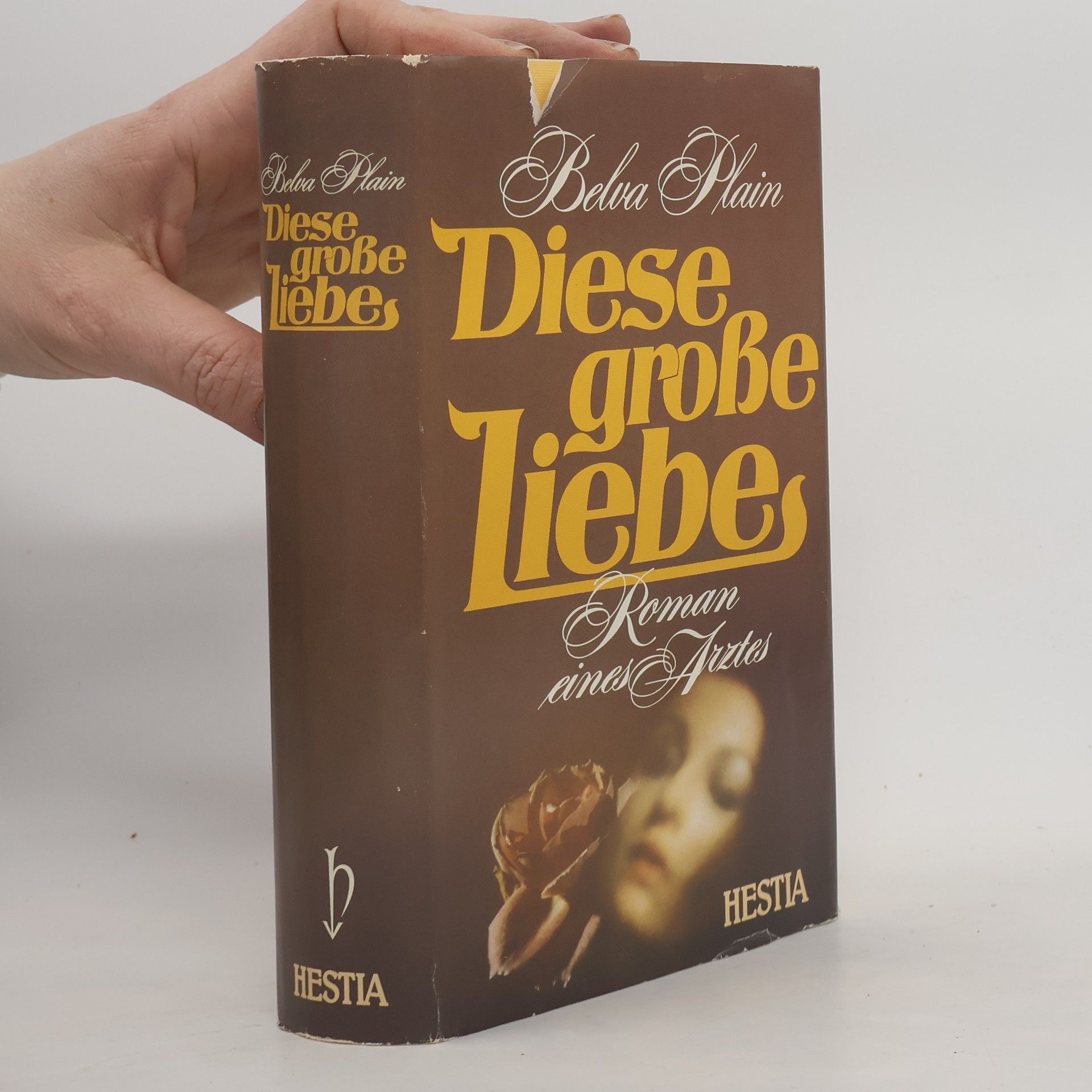 Belva Plain Diese grosse Liebe