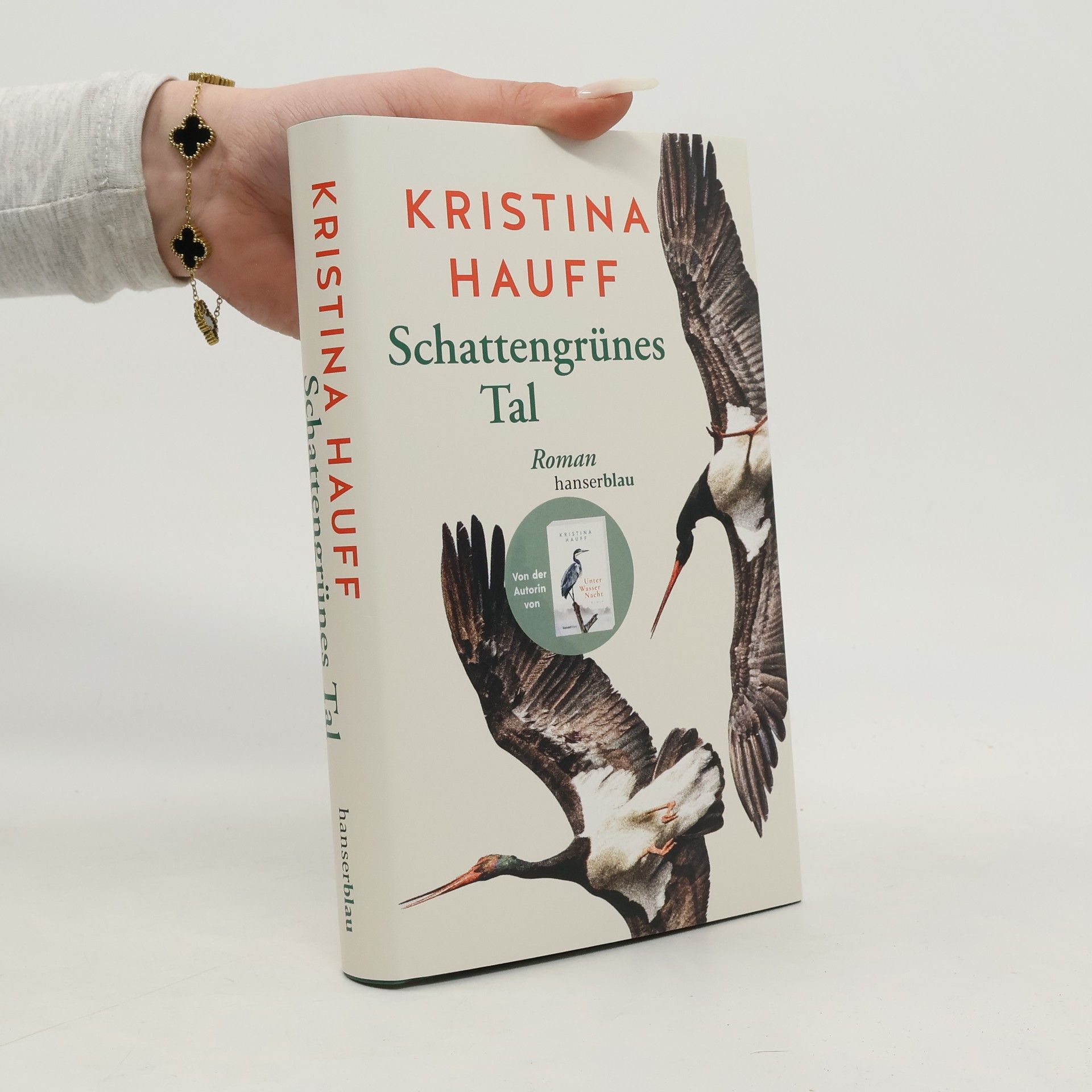 Kristina Hauff Schattengrünes Tal