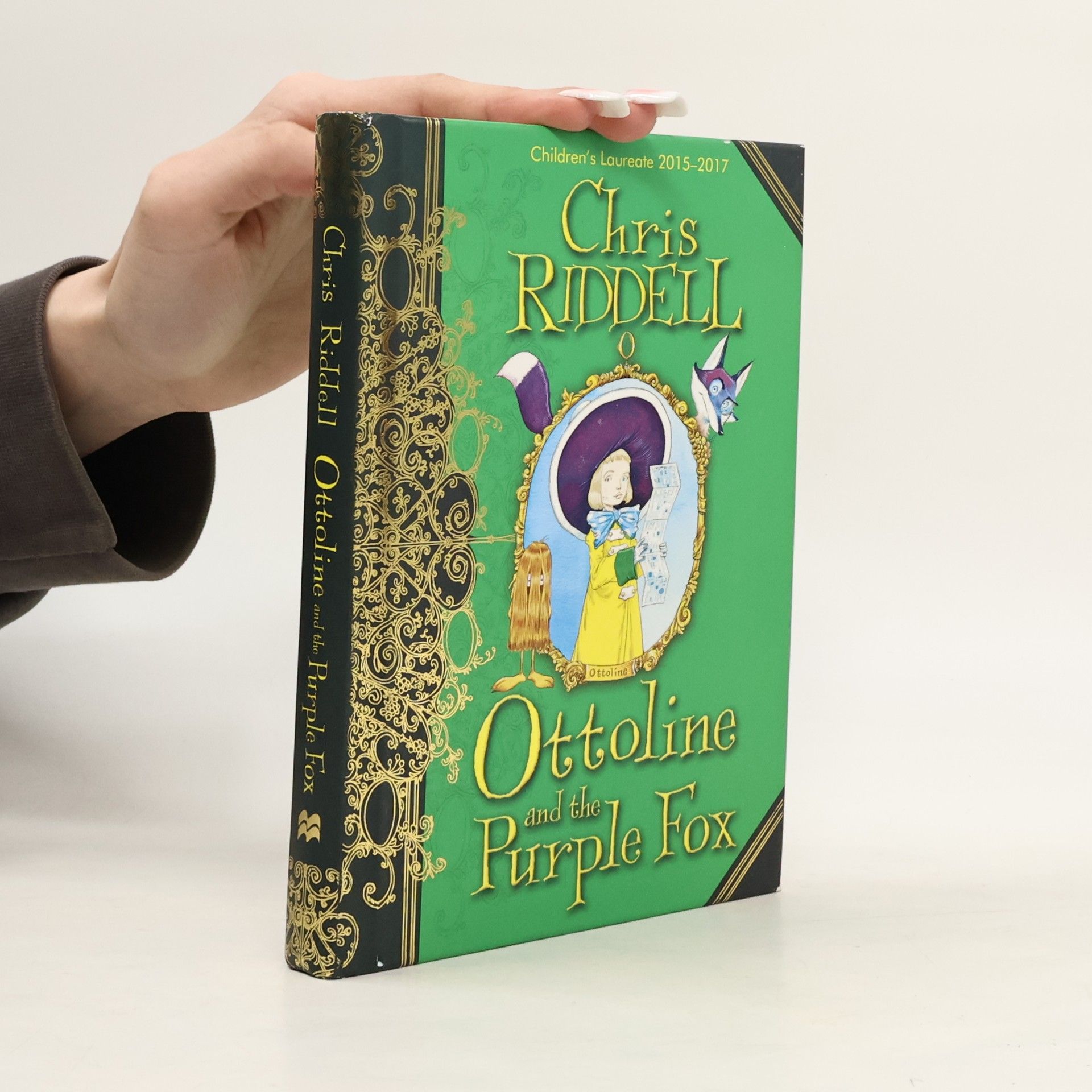 Chris Riddell Ottoline and the Purple Fox