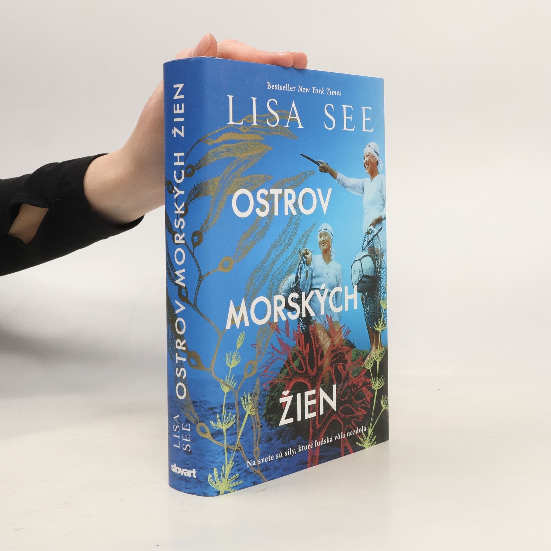 Lisa See Ostrov morských žien