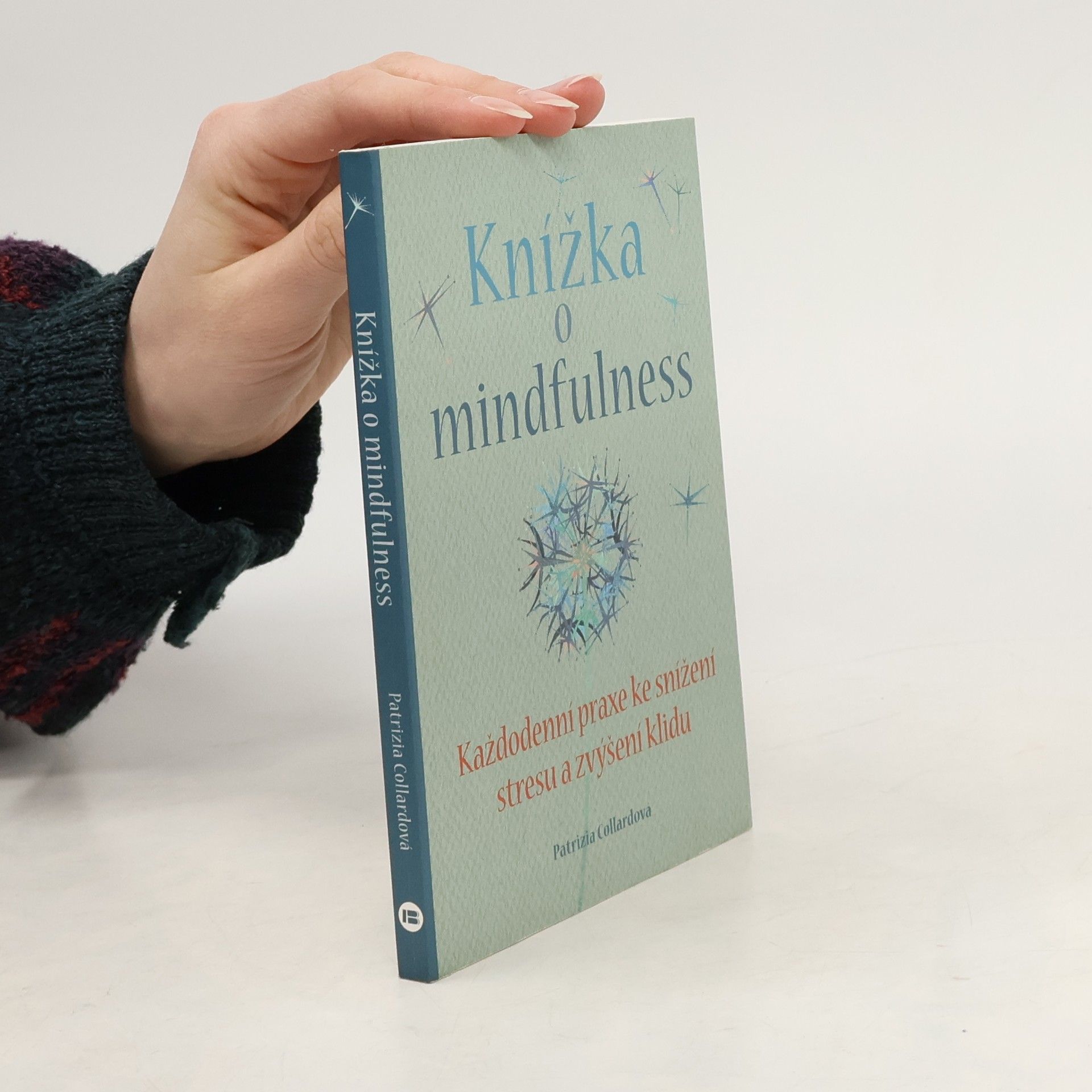 Patrizia Collard Knížka o mindfulness
