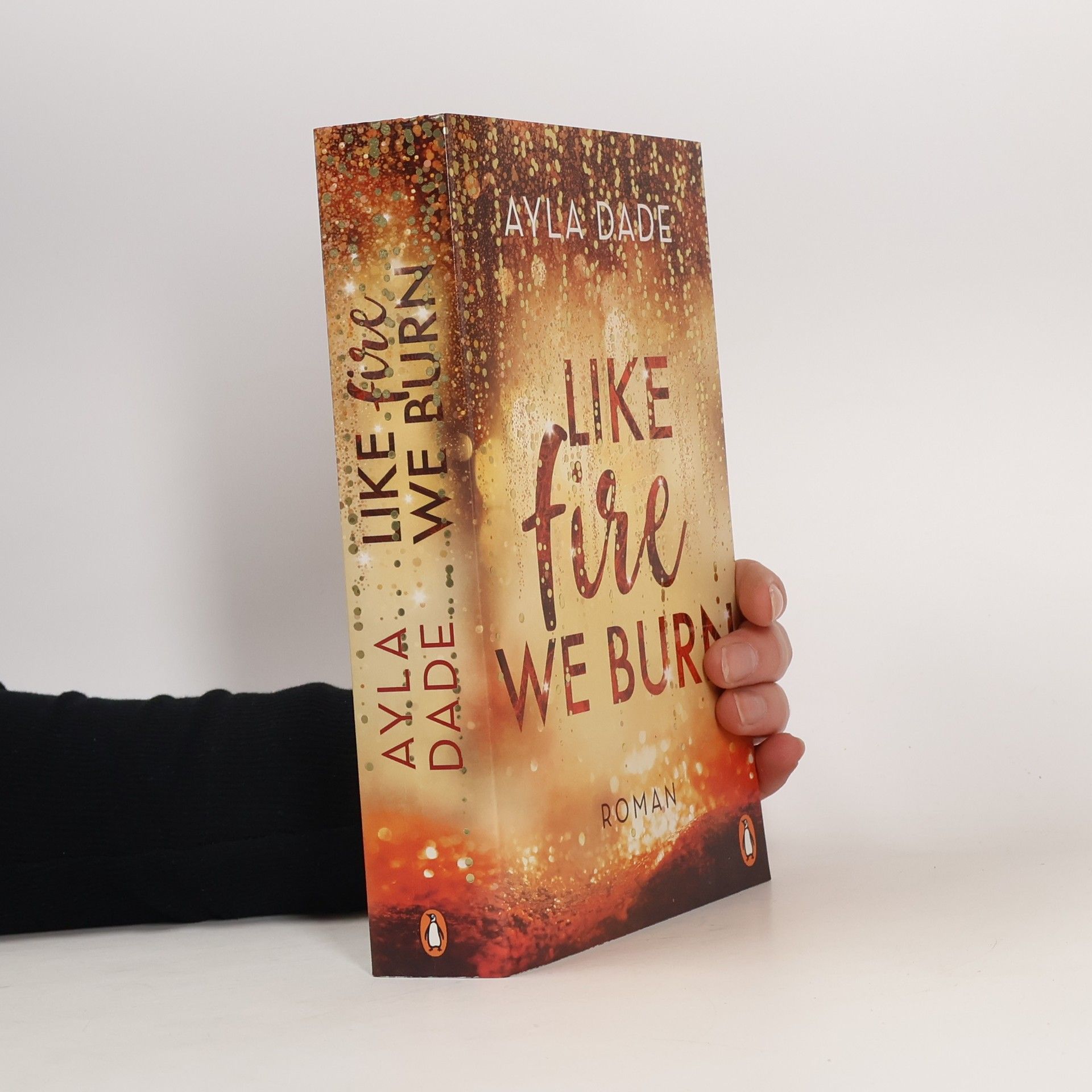 Ayla Dade Like Fire We Burn