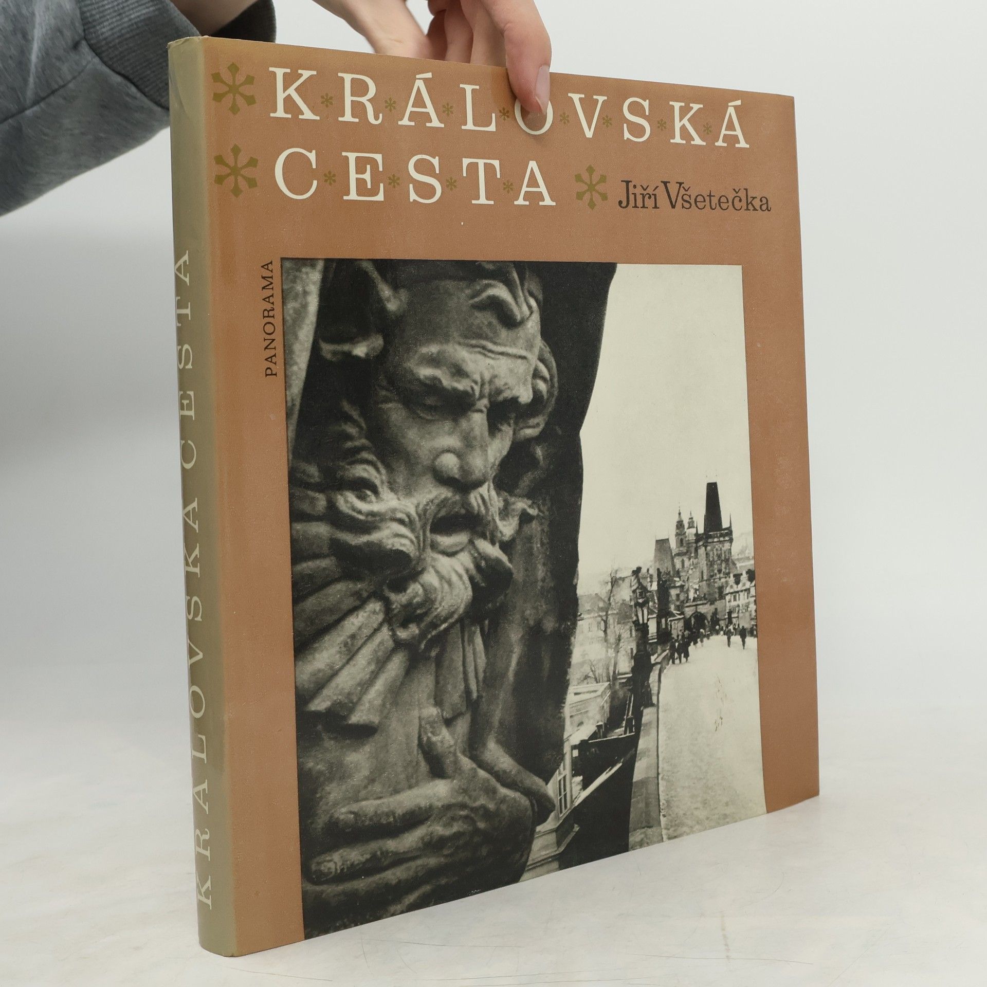 Jiří Všetečka Královská cesta
