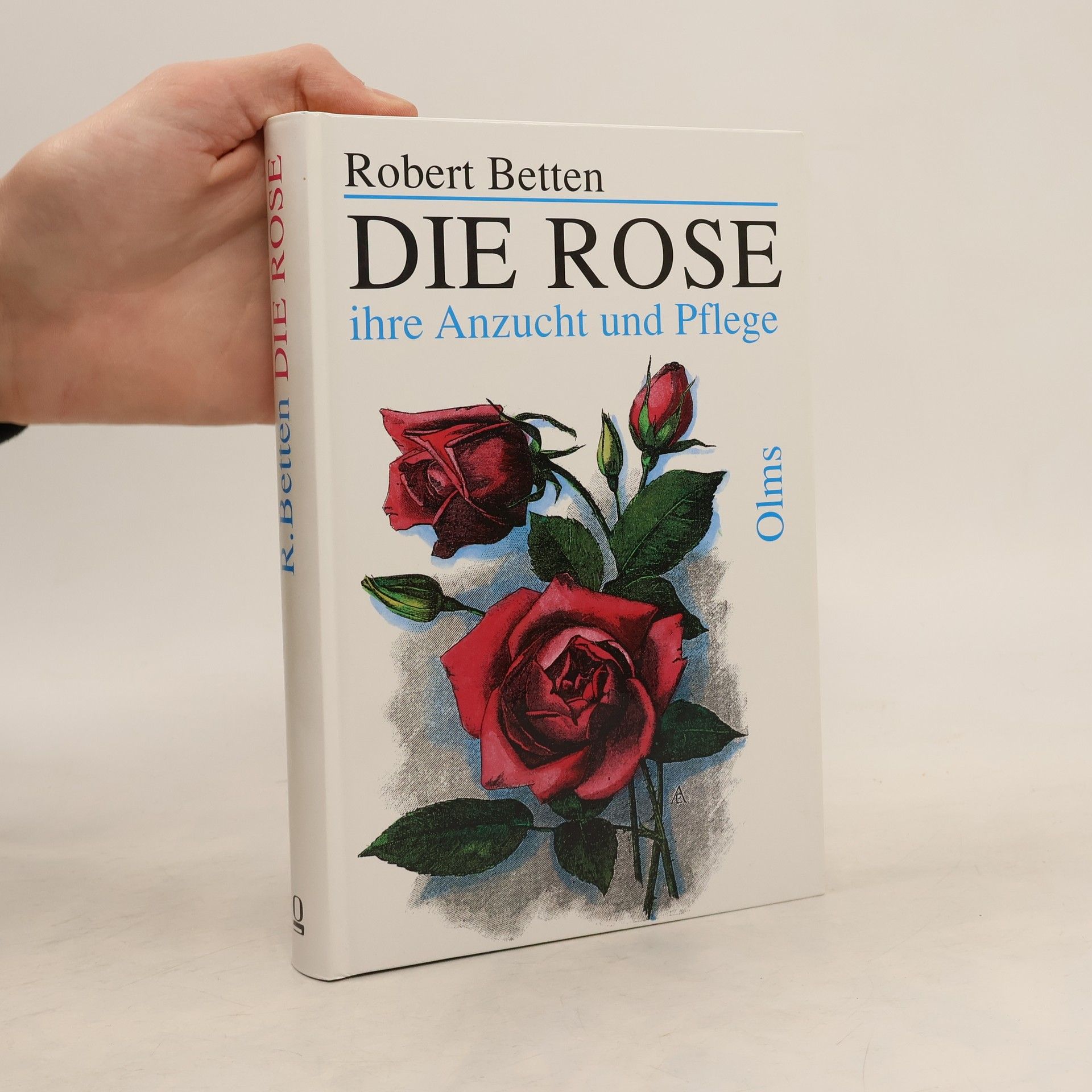 Robert Betten Die Rose