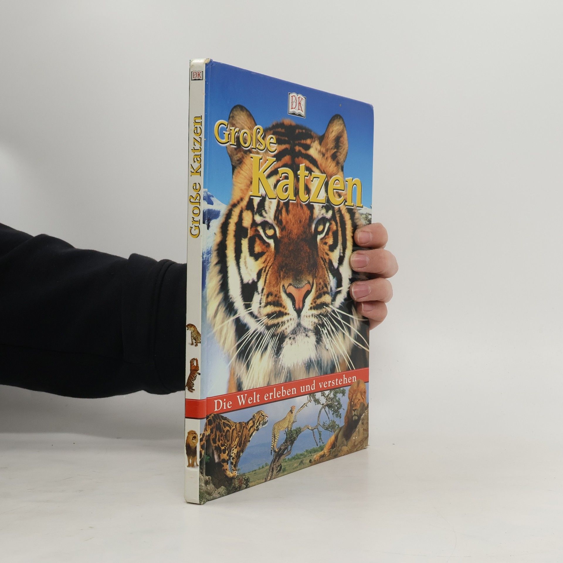 Sarah Walker Große Katzen