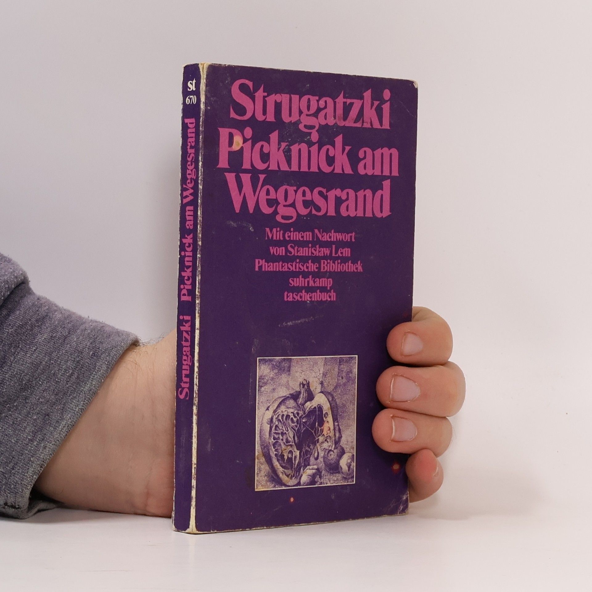 Arkadi Strugazki Picknick am Wegesrand