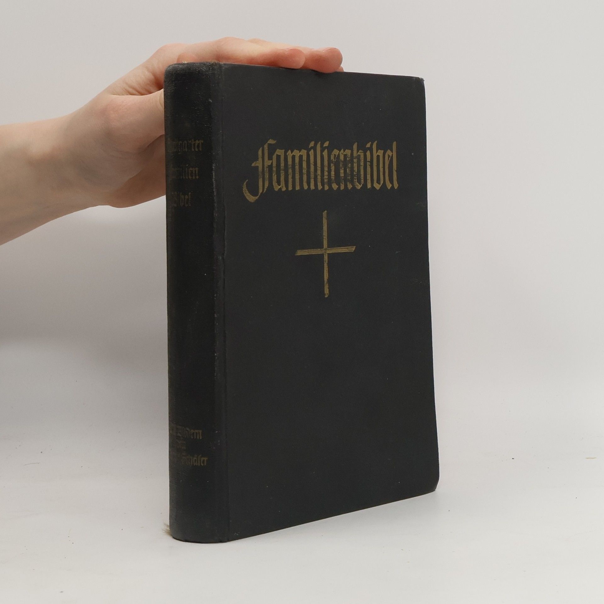 Martin Luther Stuttgarter Familienbibel zur Einführung ins Bibellesen