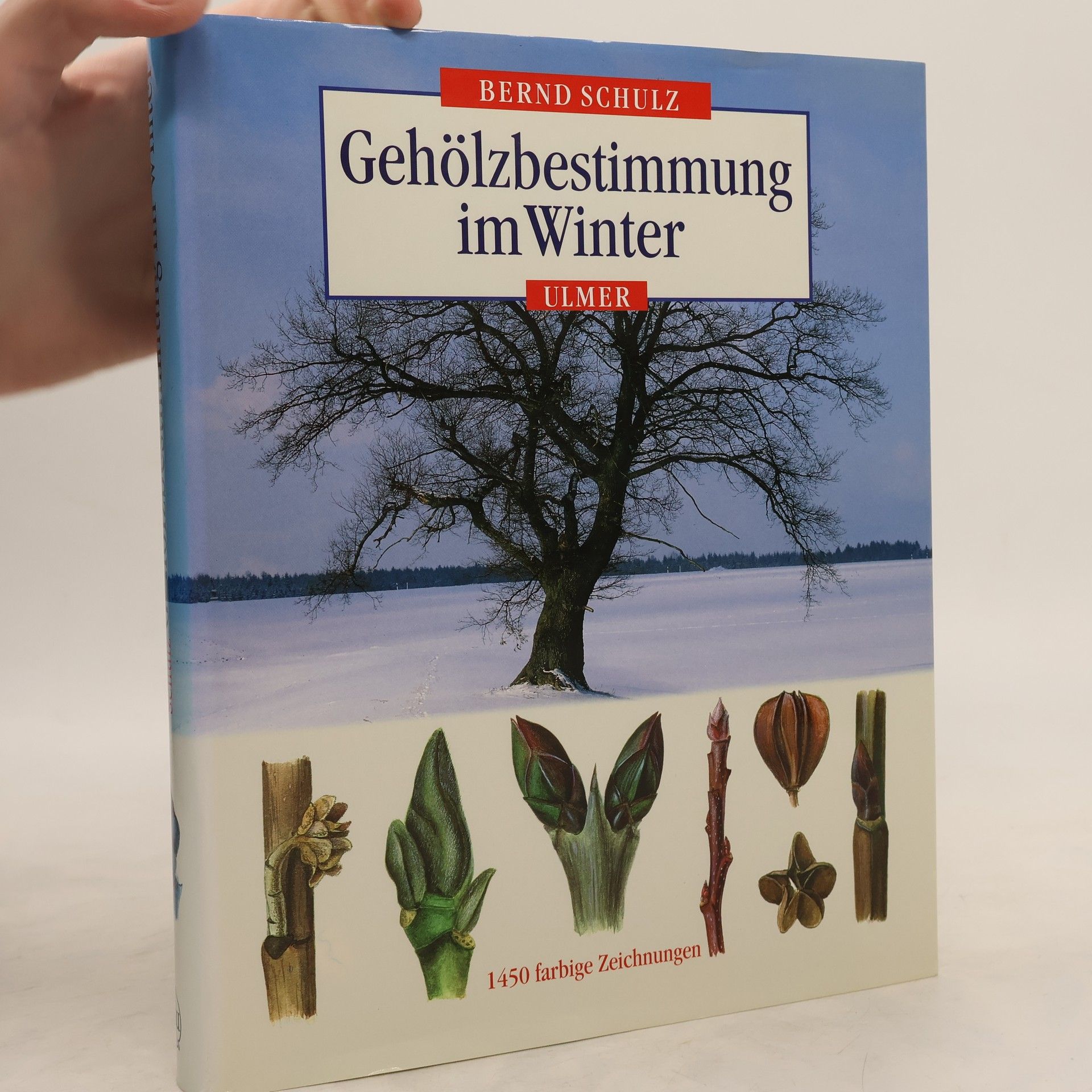 Bernd Schulz Gehölzbestimmung im Winter