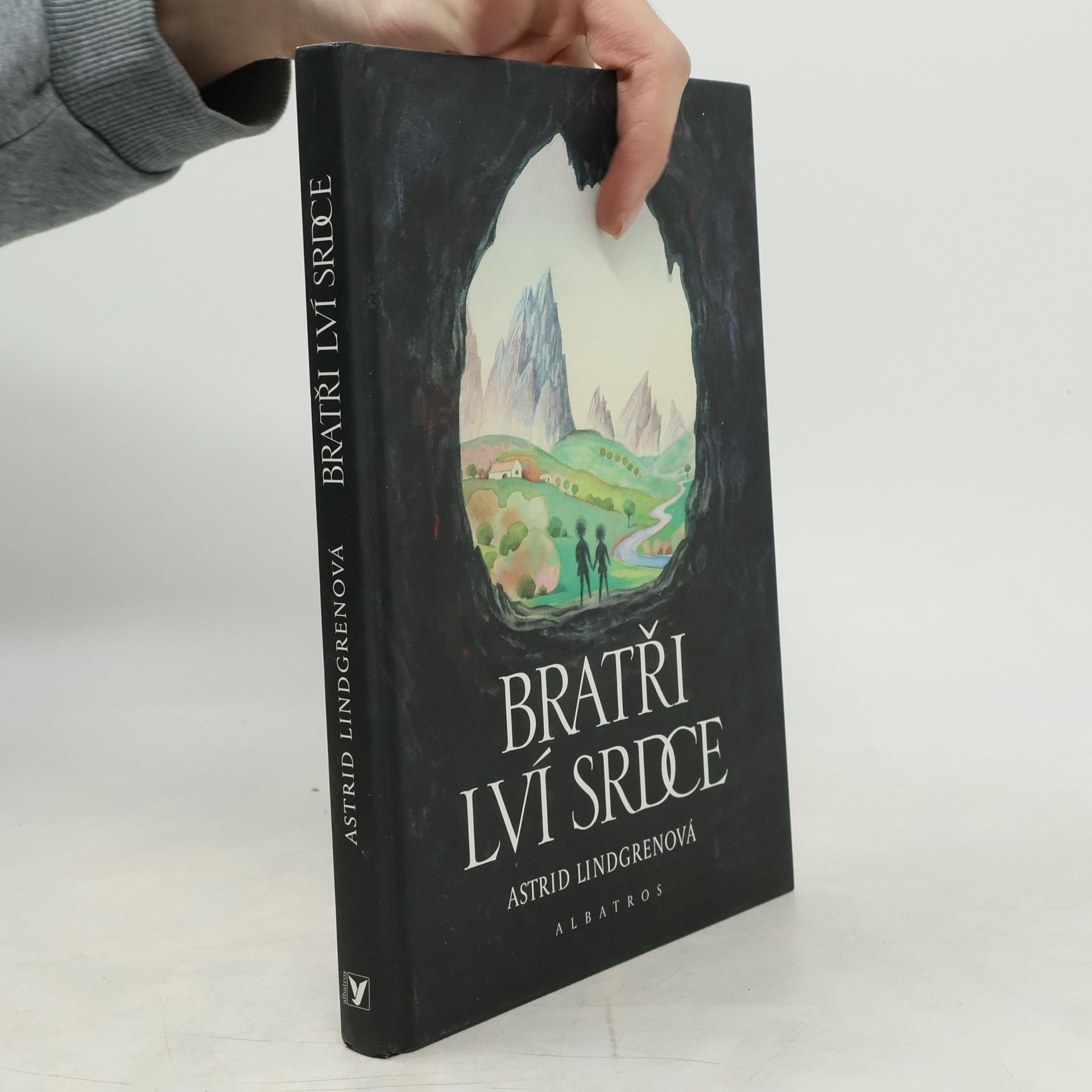 Astrid Lindgren Bratři Lví srdce