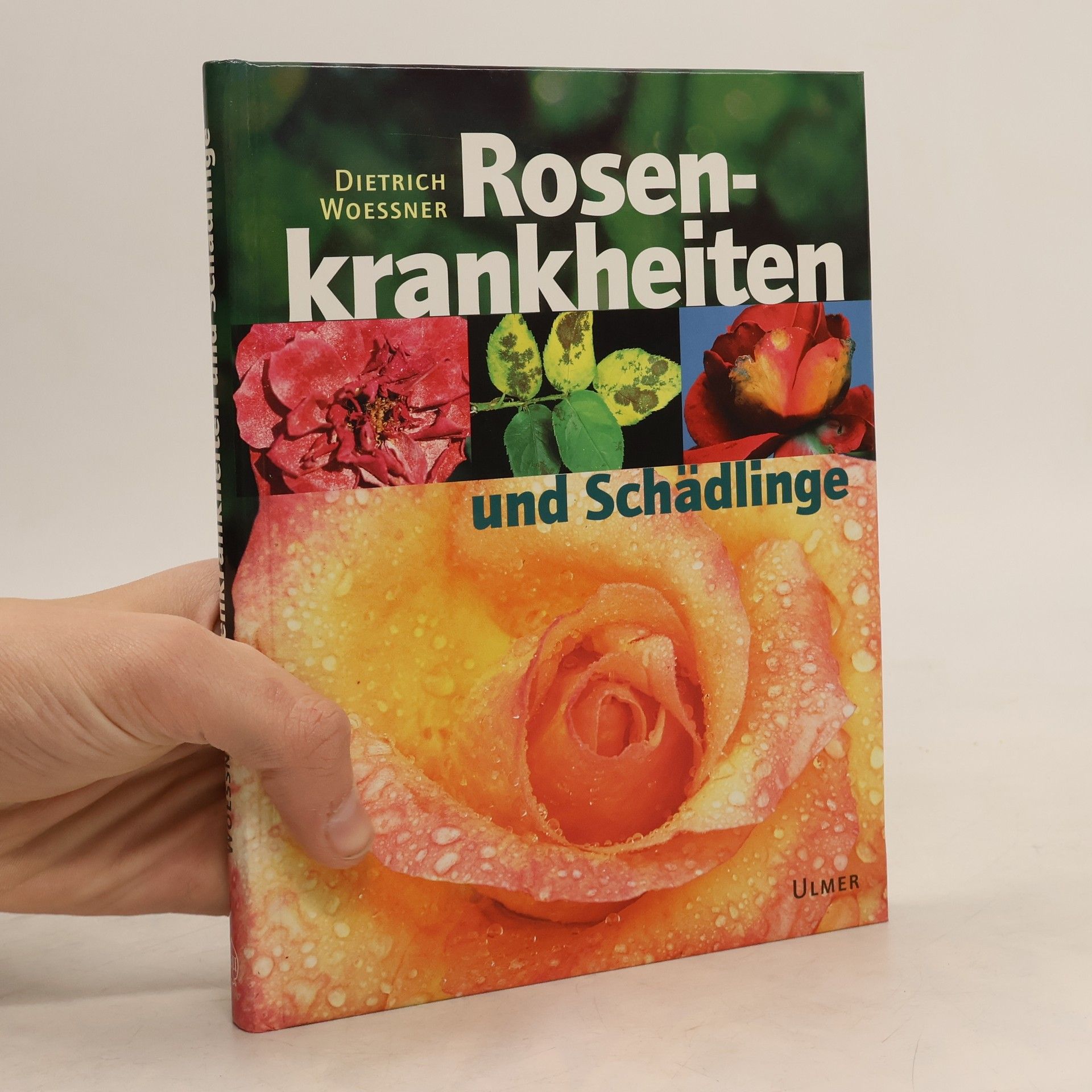 Dietrich Woessner Rosenkrankheiten und Schädlinge