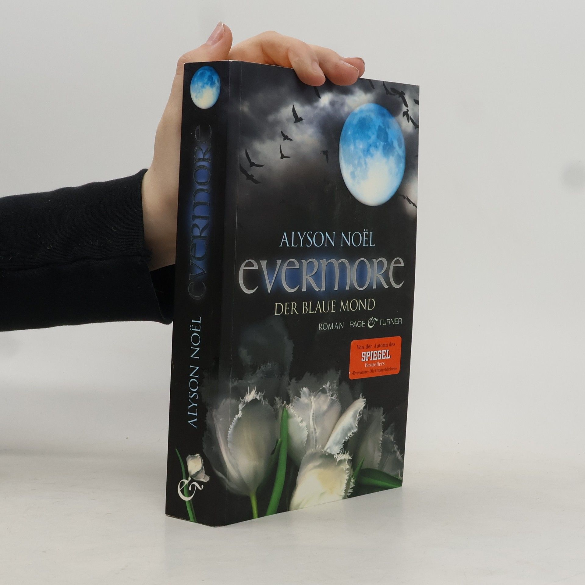 Alyson Noë͏l Evermore: Der blaue Mond