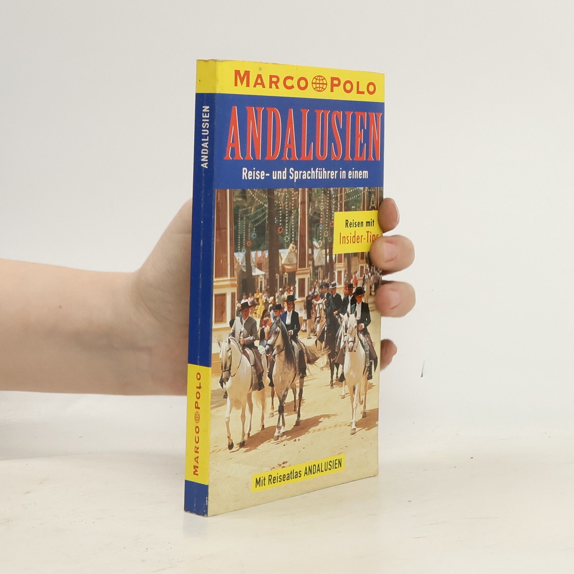 Kolektiv autorů Paris. Reise- und Sprachführer in einem