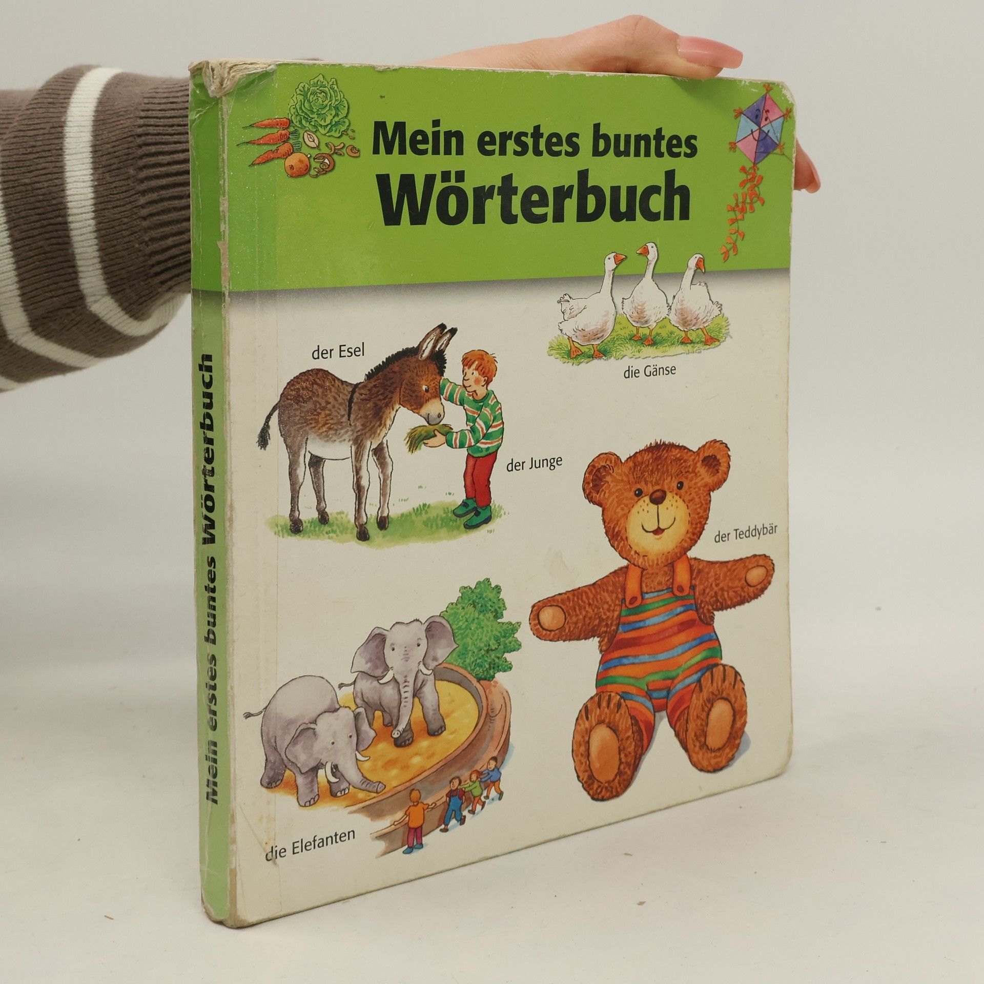 Kolektiv autorů Mein allererstes Tierbilderbuch