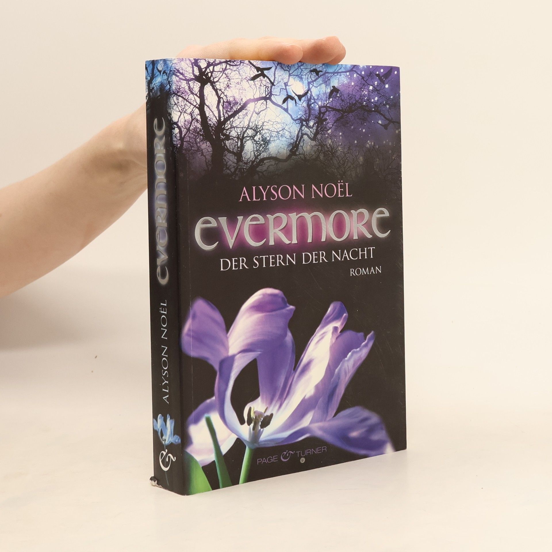 Alyson Noël Evermore: Der Stern der Nacht