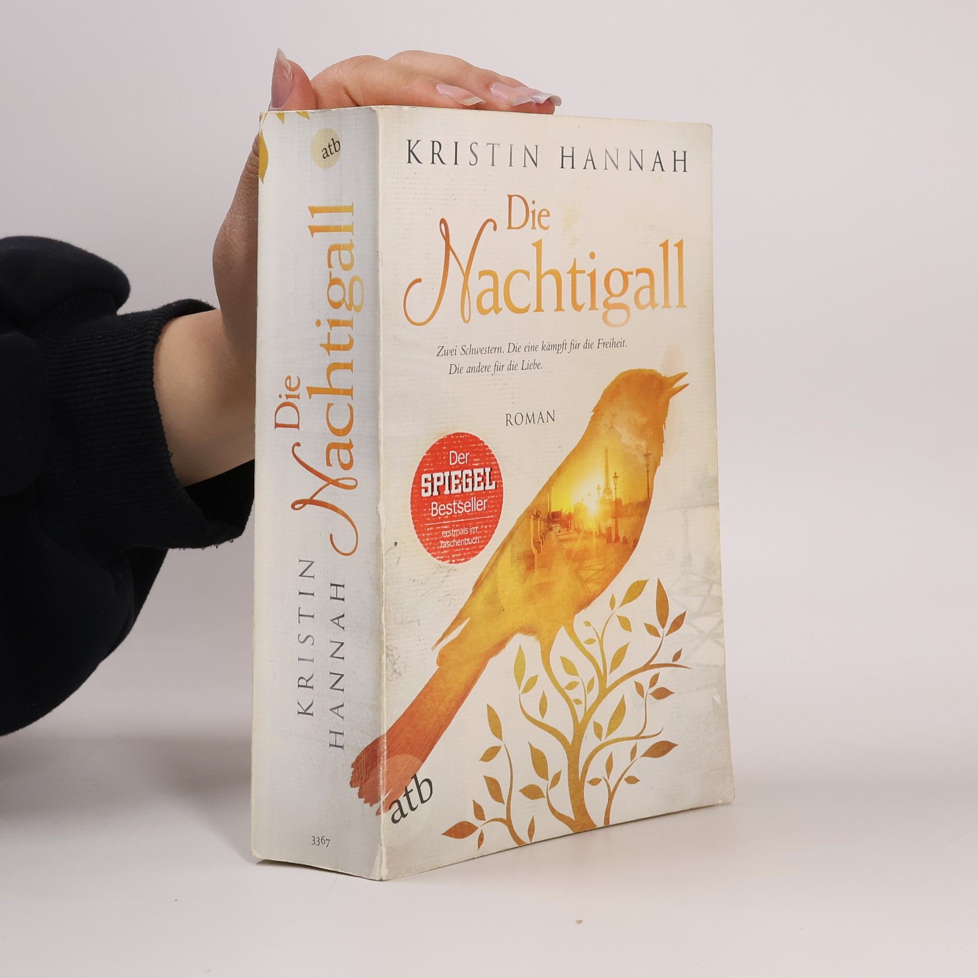 Kristin Hannah Die Nachtigall