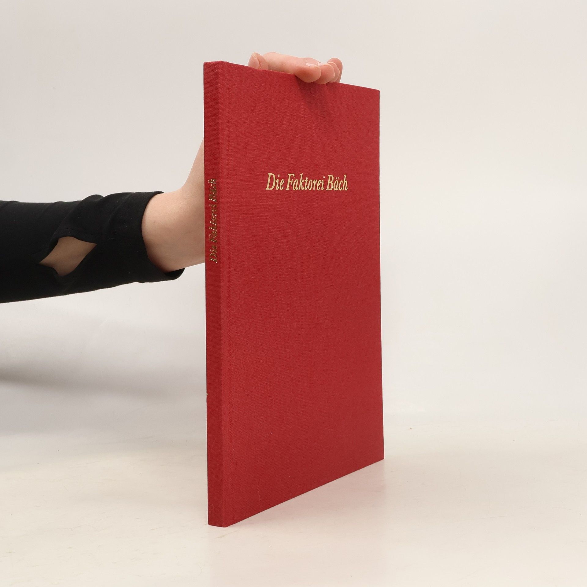 Urs Bernet Die Faktorei Bäch