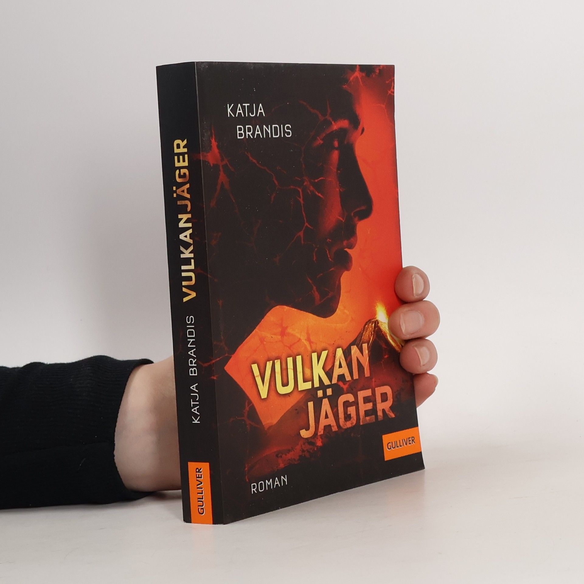 Katja Brandis Vulkanjäger