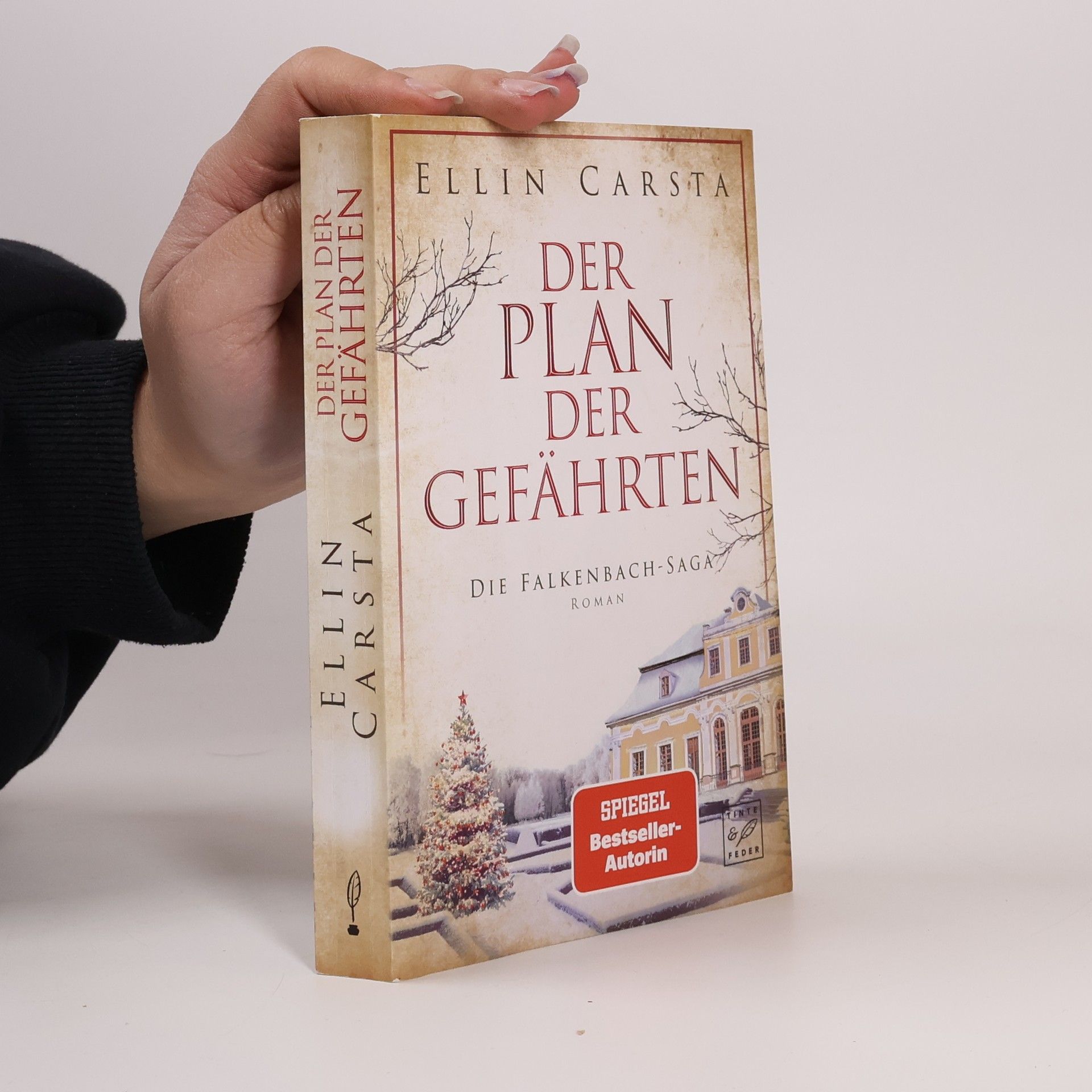 Ellin Carsta Der Plan der Gefährten
