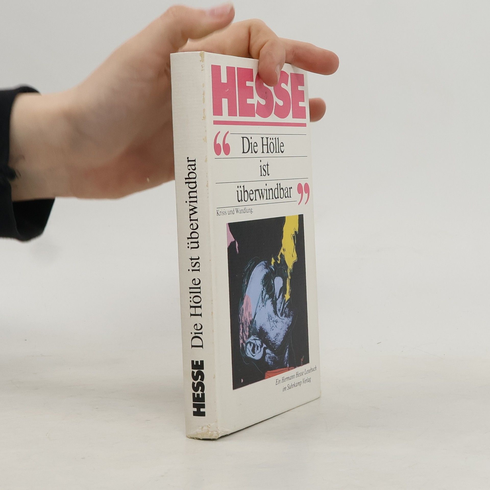 Hermann Hesse Die Hölle ist überwindbar