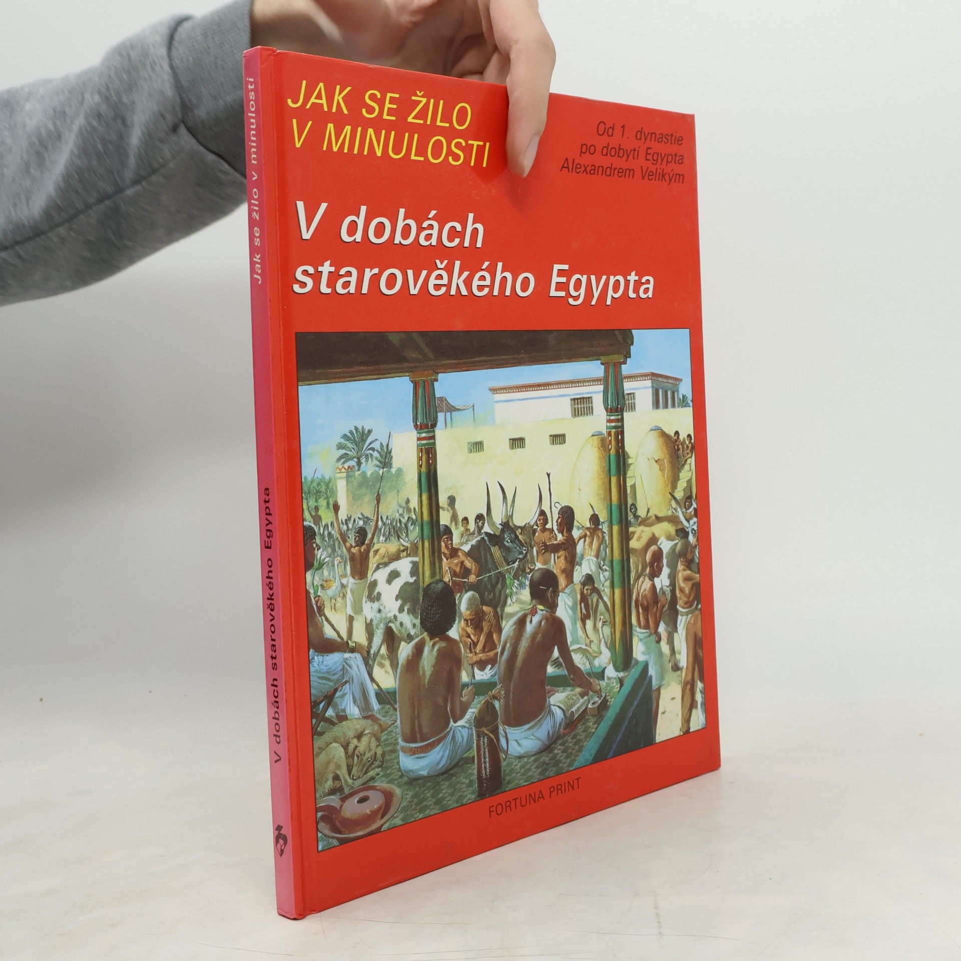 Pierre Probst Jak se žilo v minulosti. V dobách starověkého Egypta