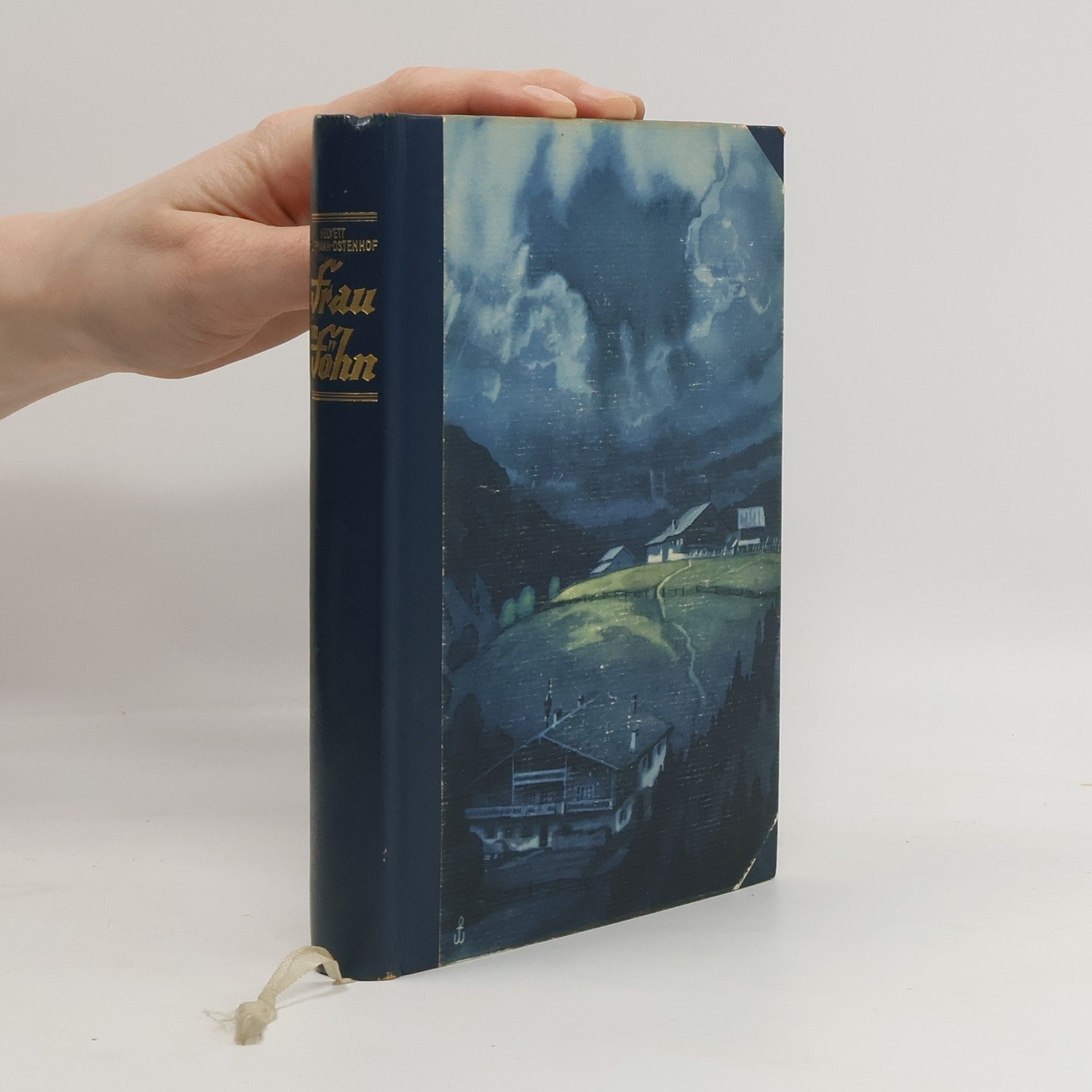 Helyett Hoffmann-Ostenhof Frau im Föhn