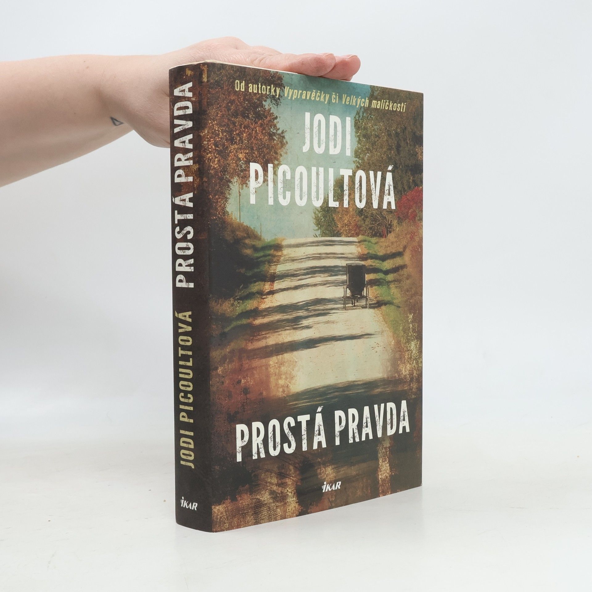 Jodi Picoult Prostá pravda