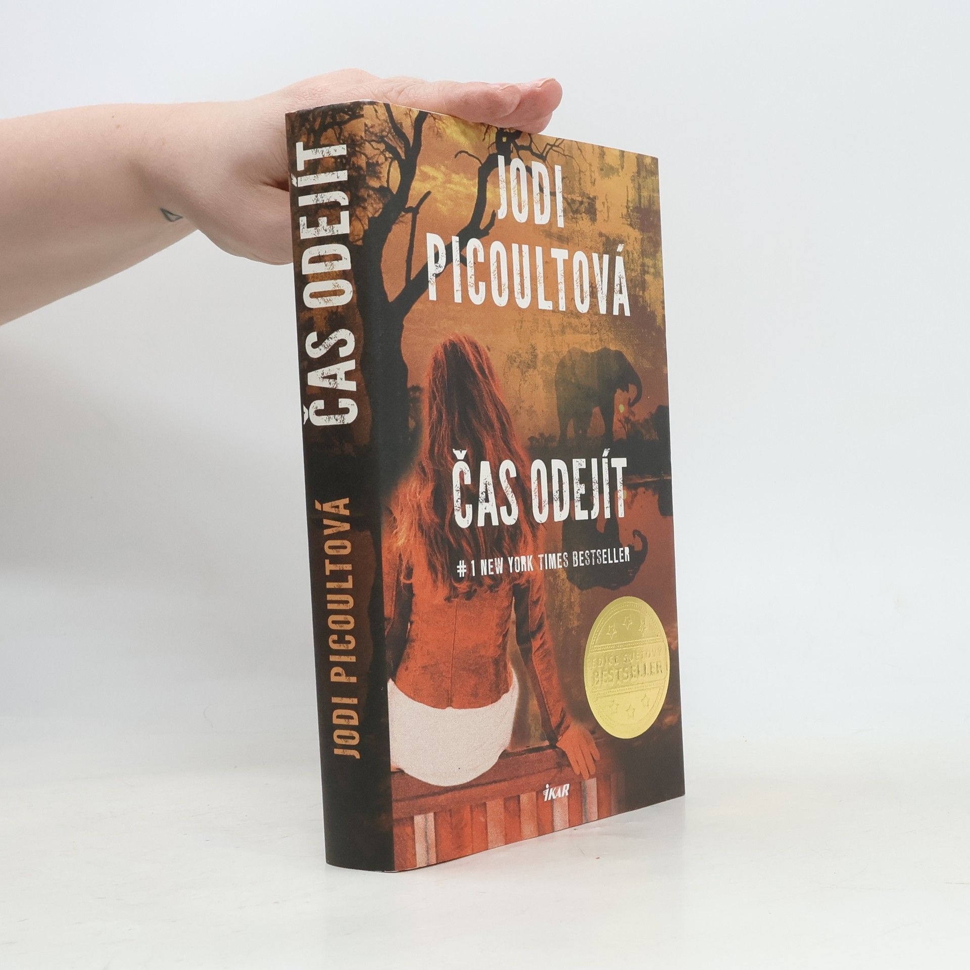 Jodi Picoult Čas odejít