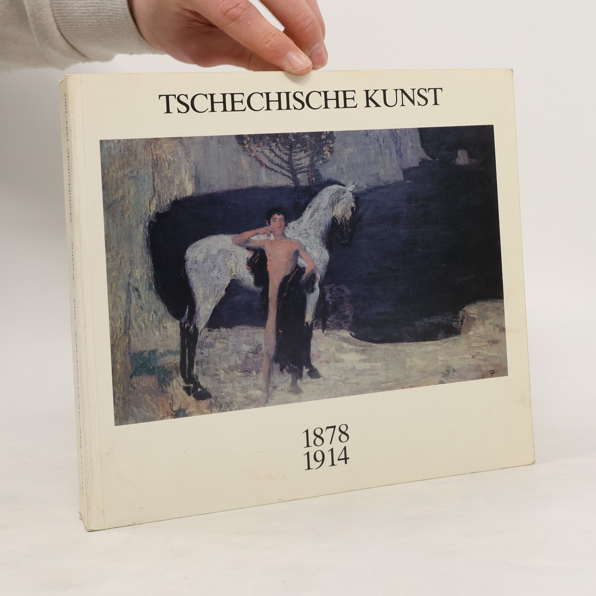 Kolektiv autorů Tschechische Kunst 1878 - 1914. Mathildenhöhe Darmstadt