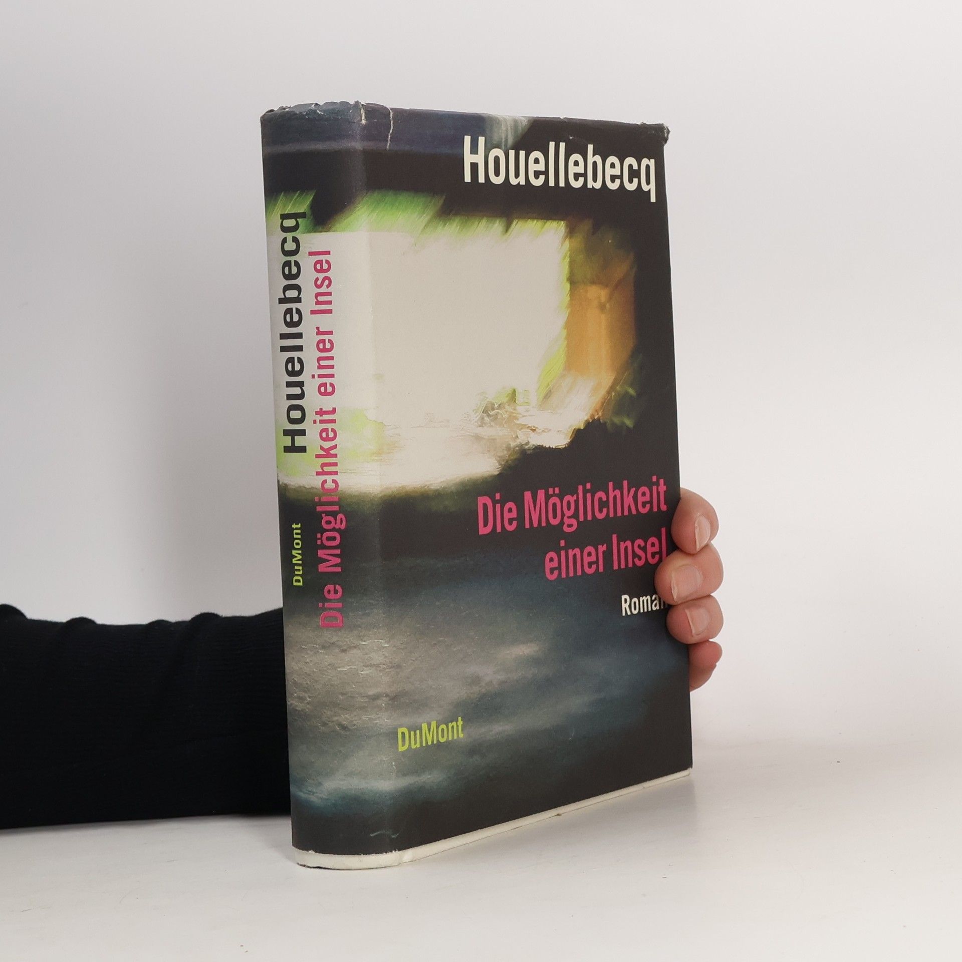 Michel Houellebecq Die Möglichkeit einer Insel