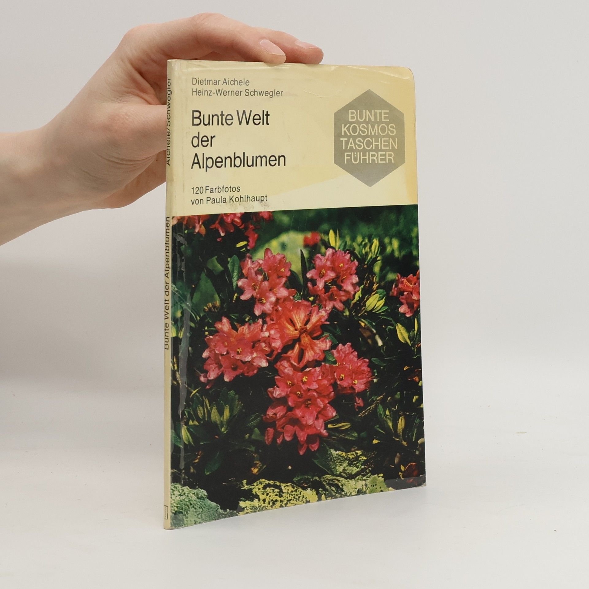 Dietmar Aichele Bunte Welt der Alpenblumen