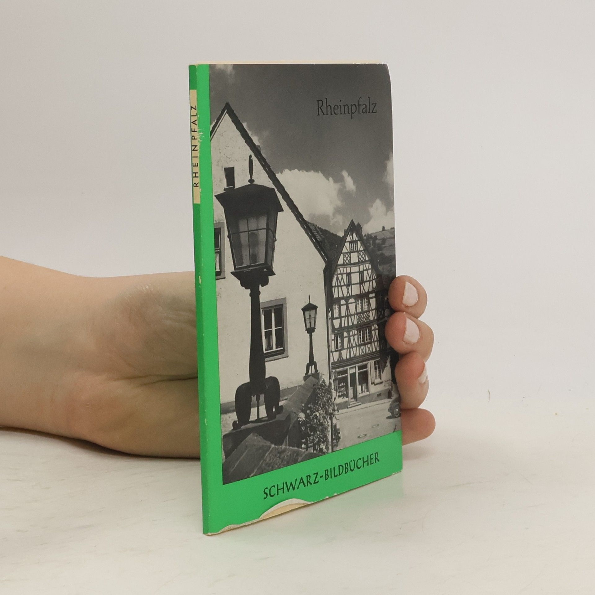 Collectif d'auteurs Rheinpfalz