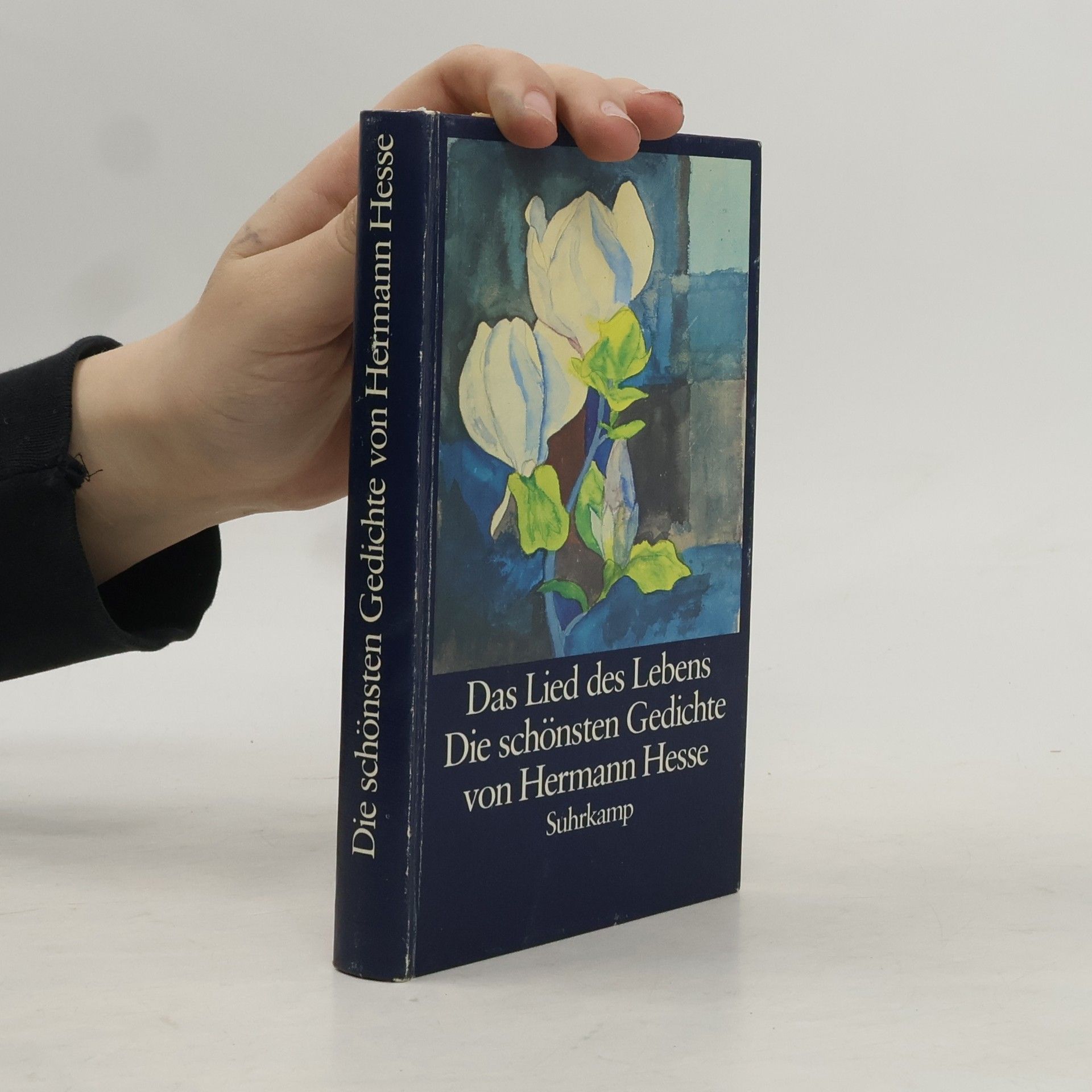 Hermann Hesse Das Lied des Lebens. Die schönsten Gedichte von Hermann Hesse