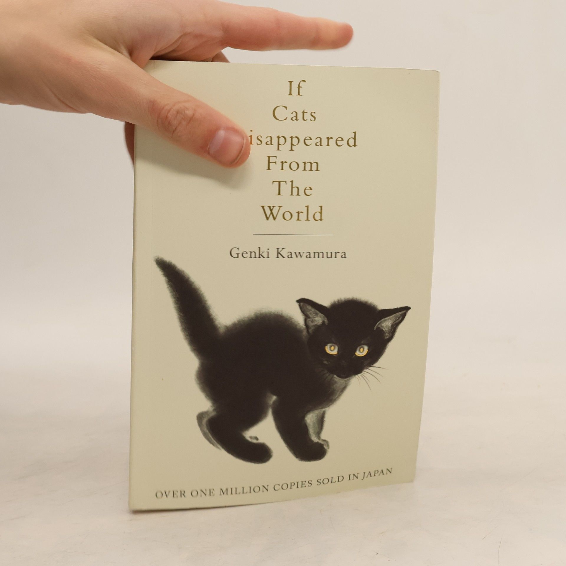 Genki Kawamura If Cats Disappeared from the World