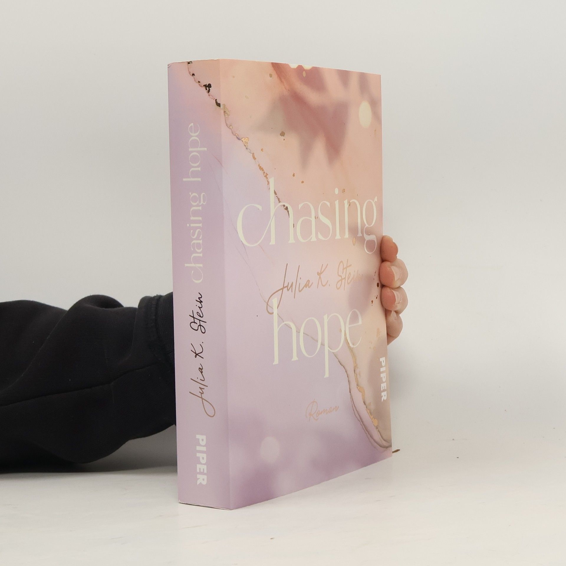 Julia K. Stein Chasing Hope