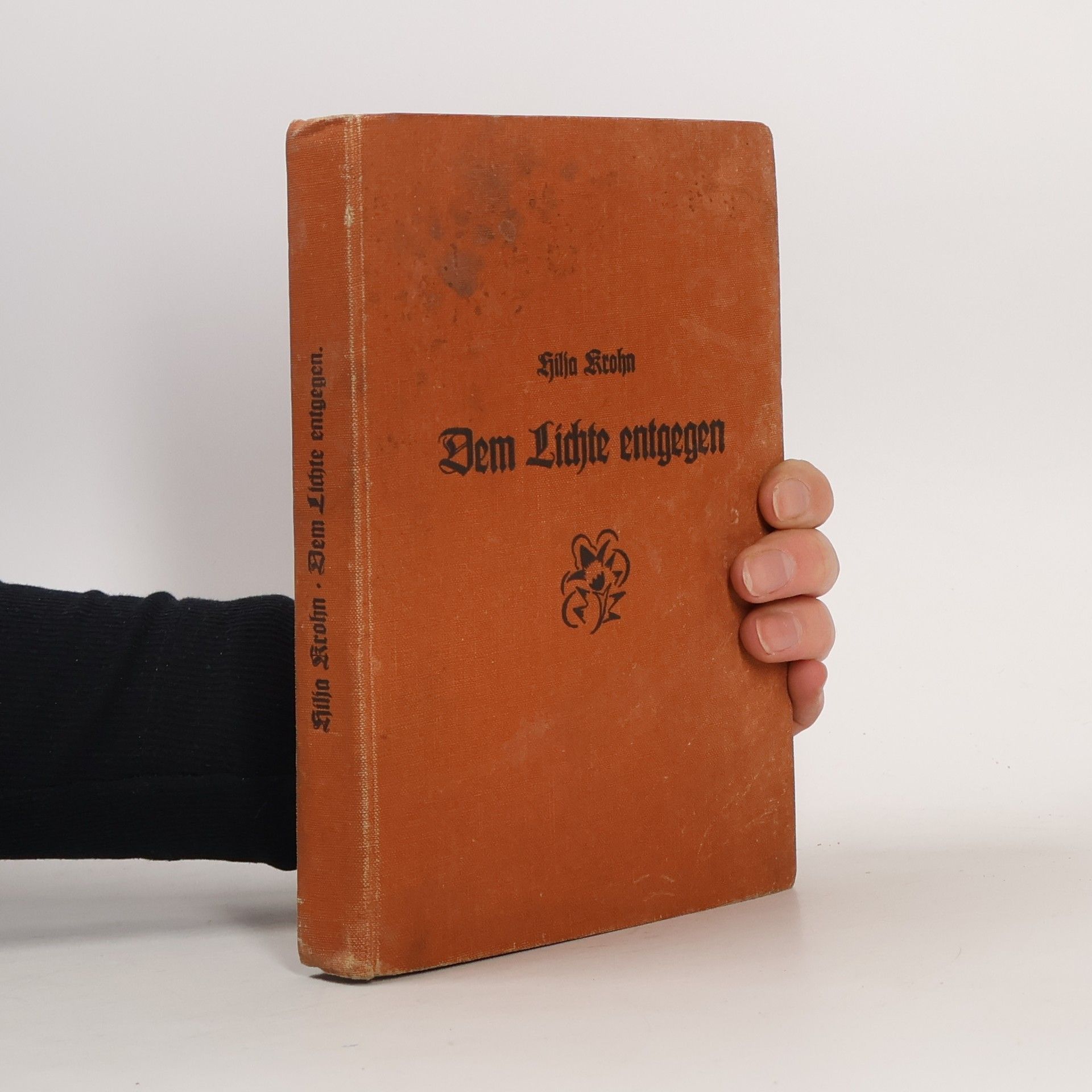 Hilja Krohn Dem Lichte entgegen