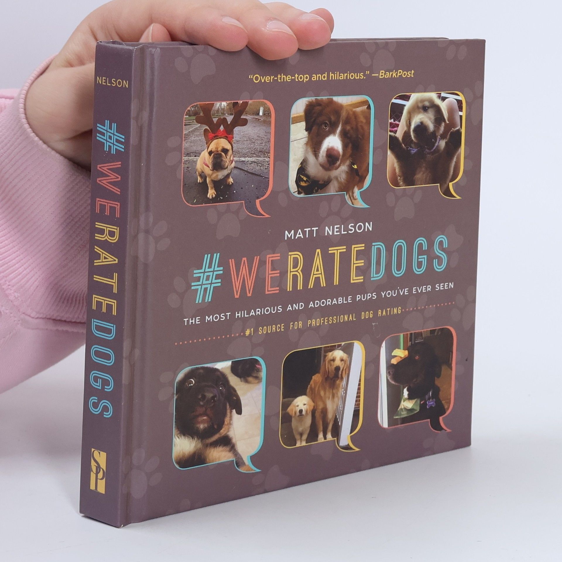 Matt Nelson #WeRateDogs