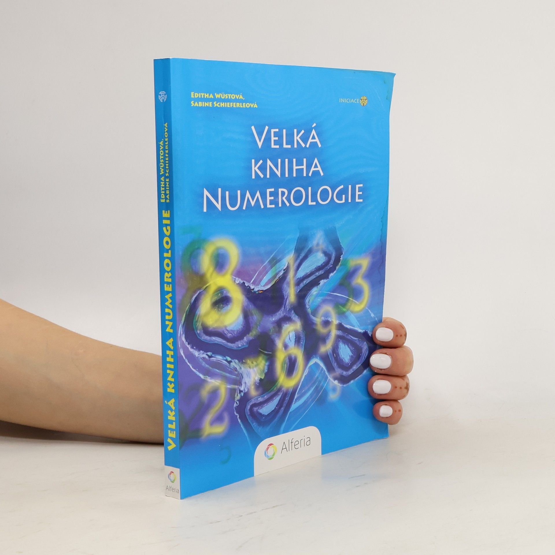 Editha Wüst Velká kniha numerologie